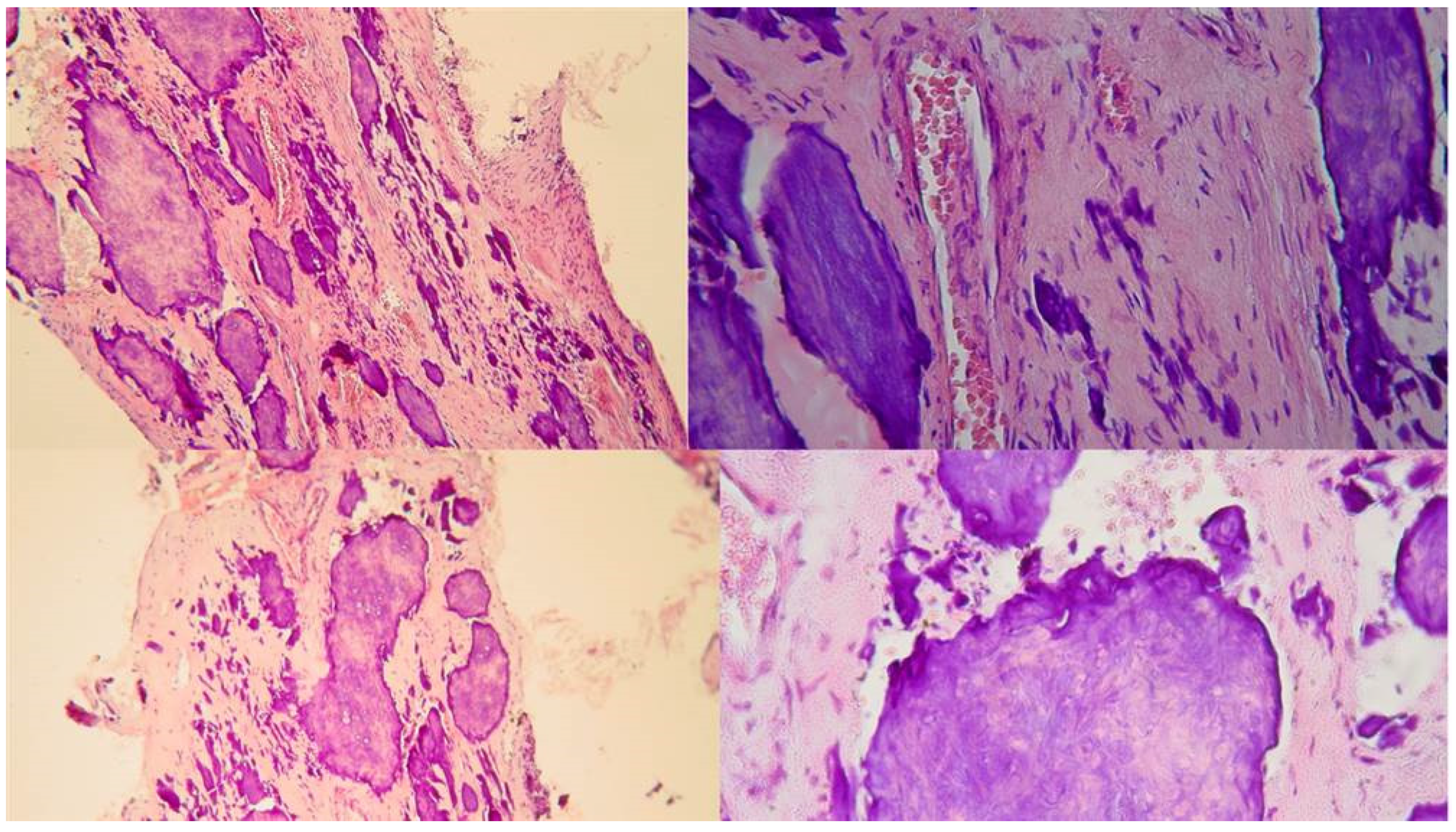 Preprints 101803 g005