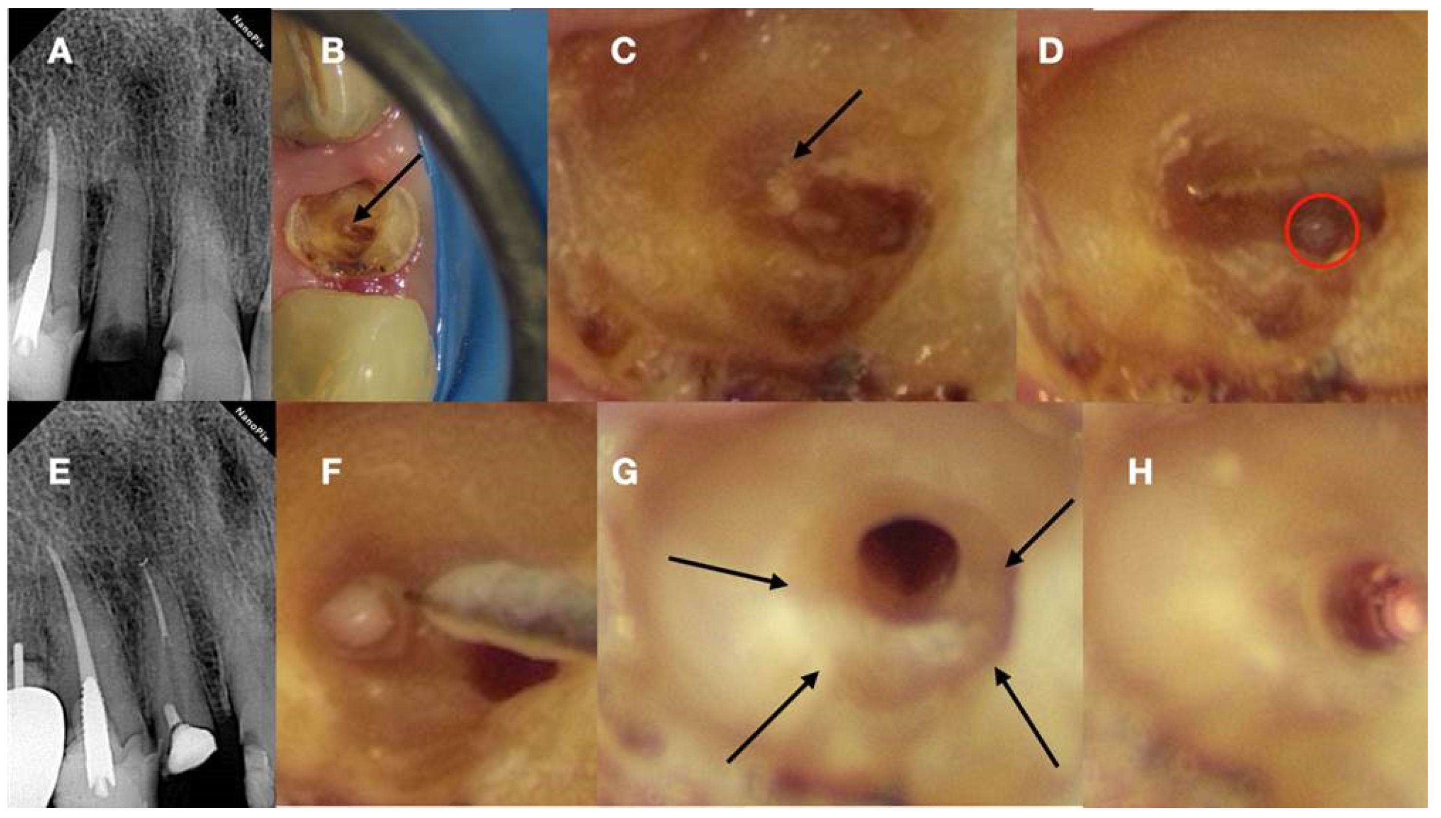 Preprints 101803 g006