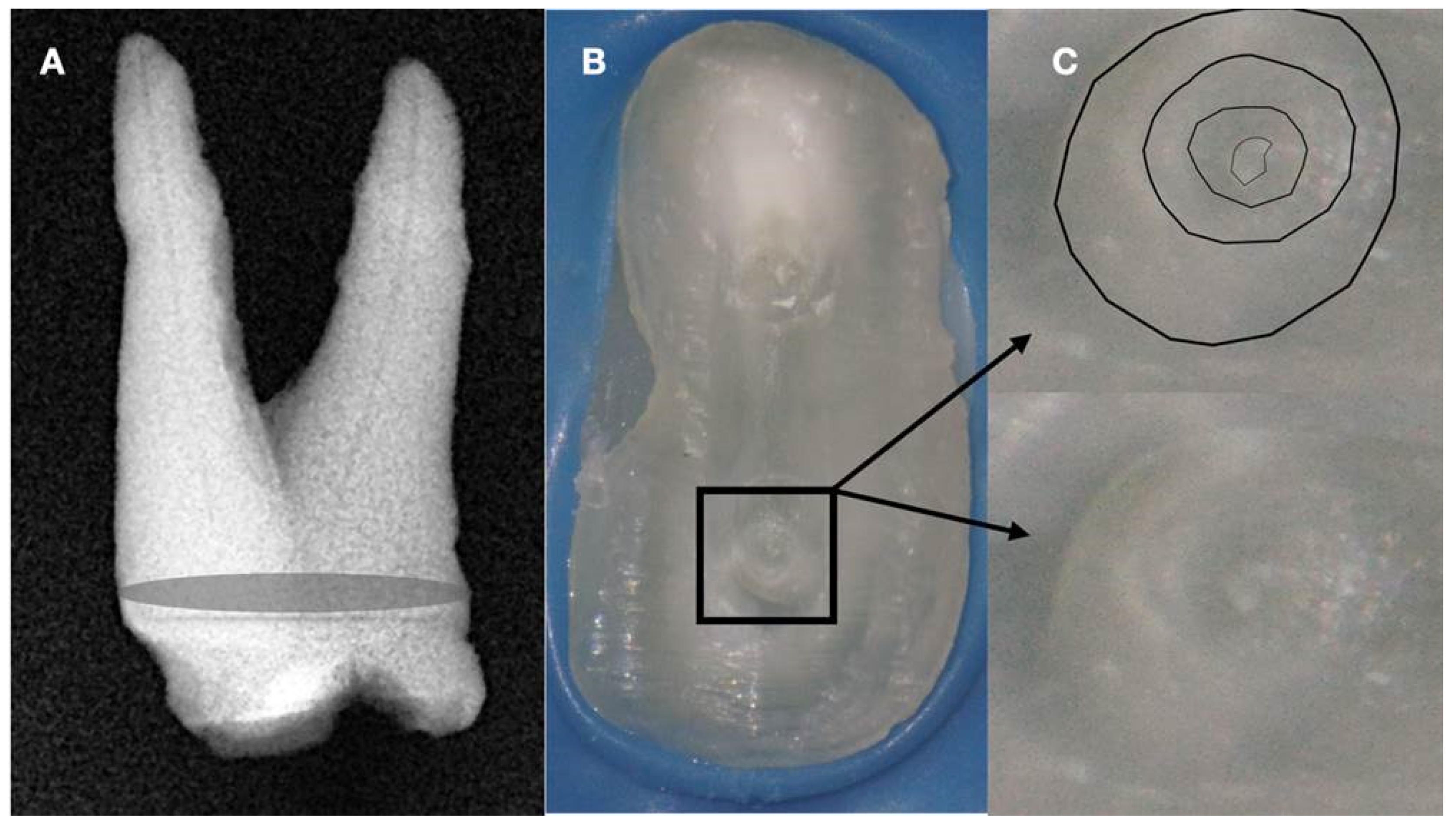 Preprints 101803 g007