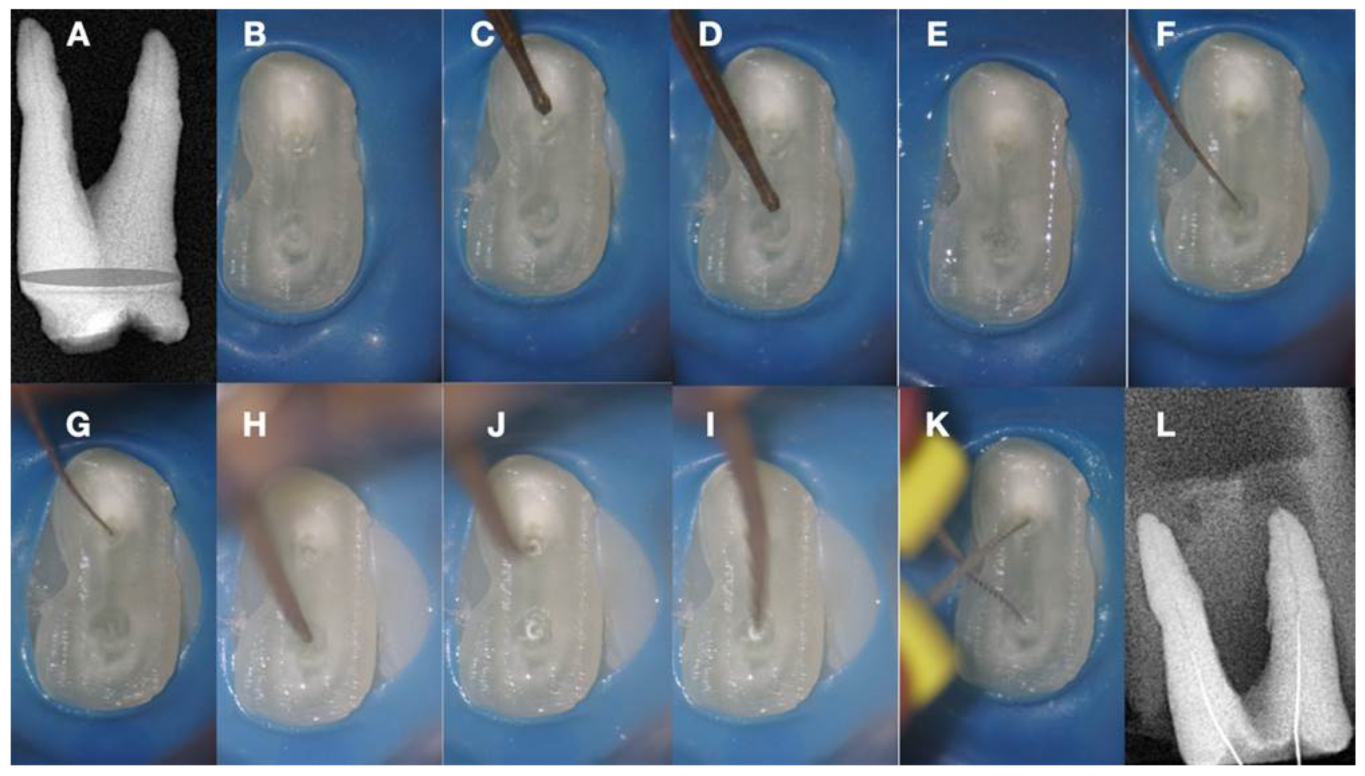 Preprints 101803 g009