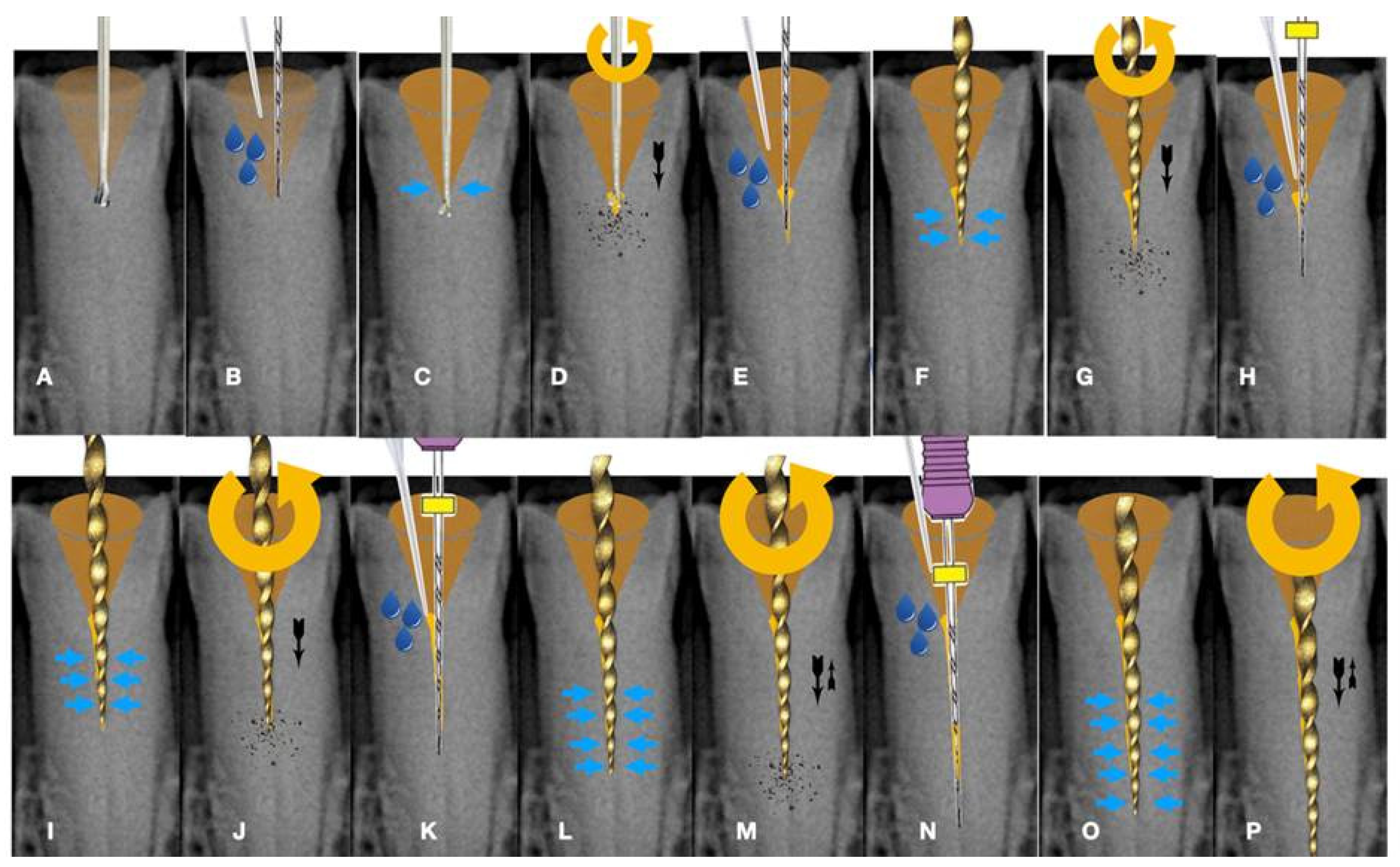 Preprints 101803 g010