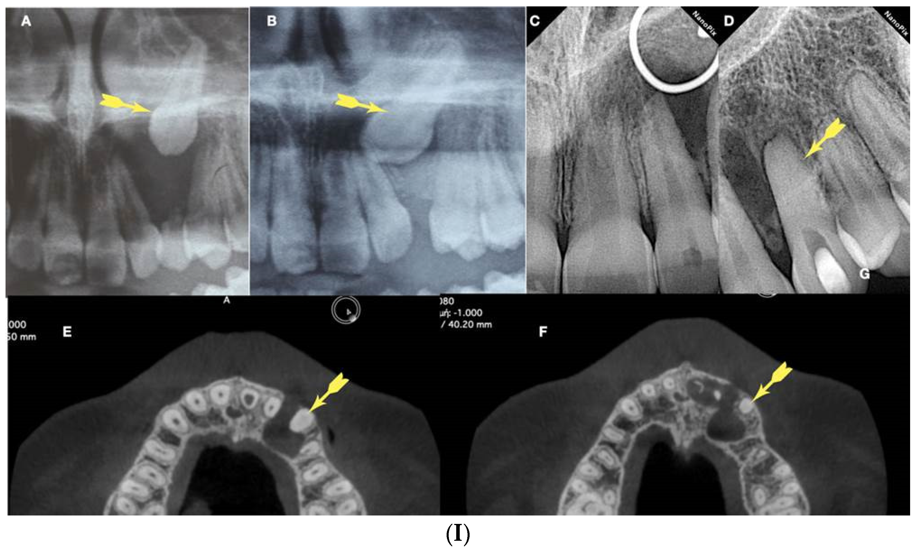 Preprints 101803 g011a
