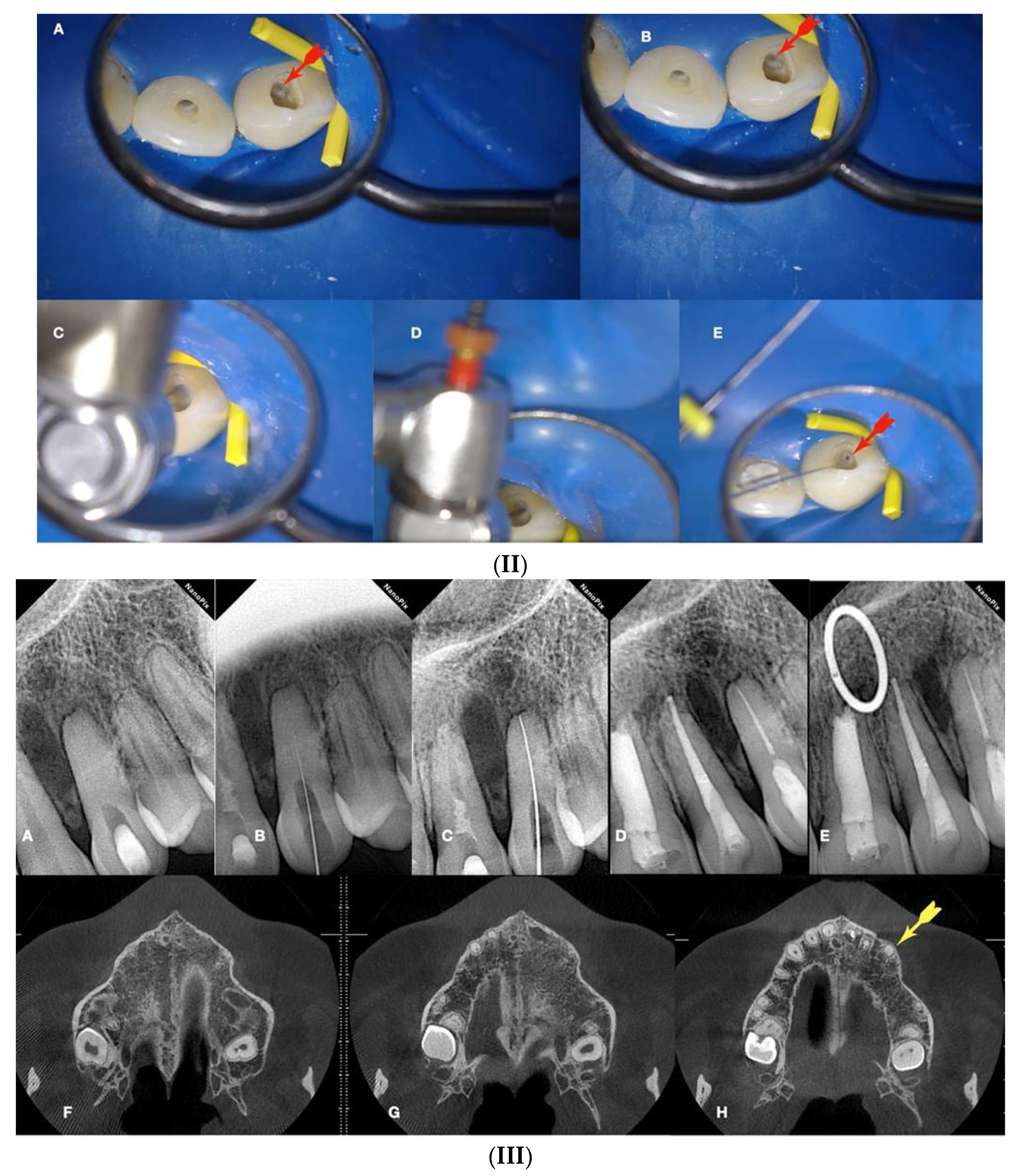 Preprints 101803 g011b