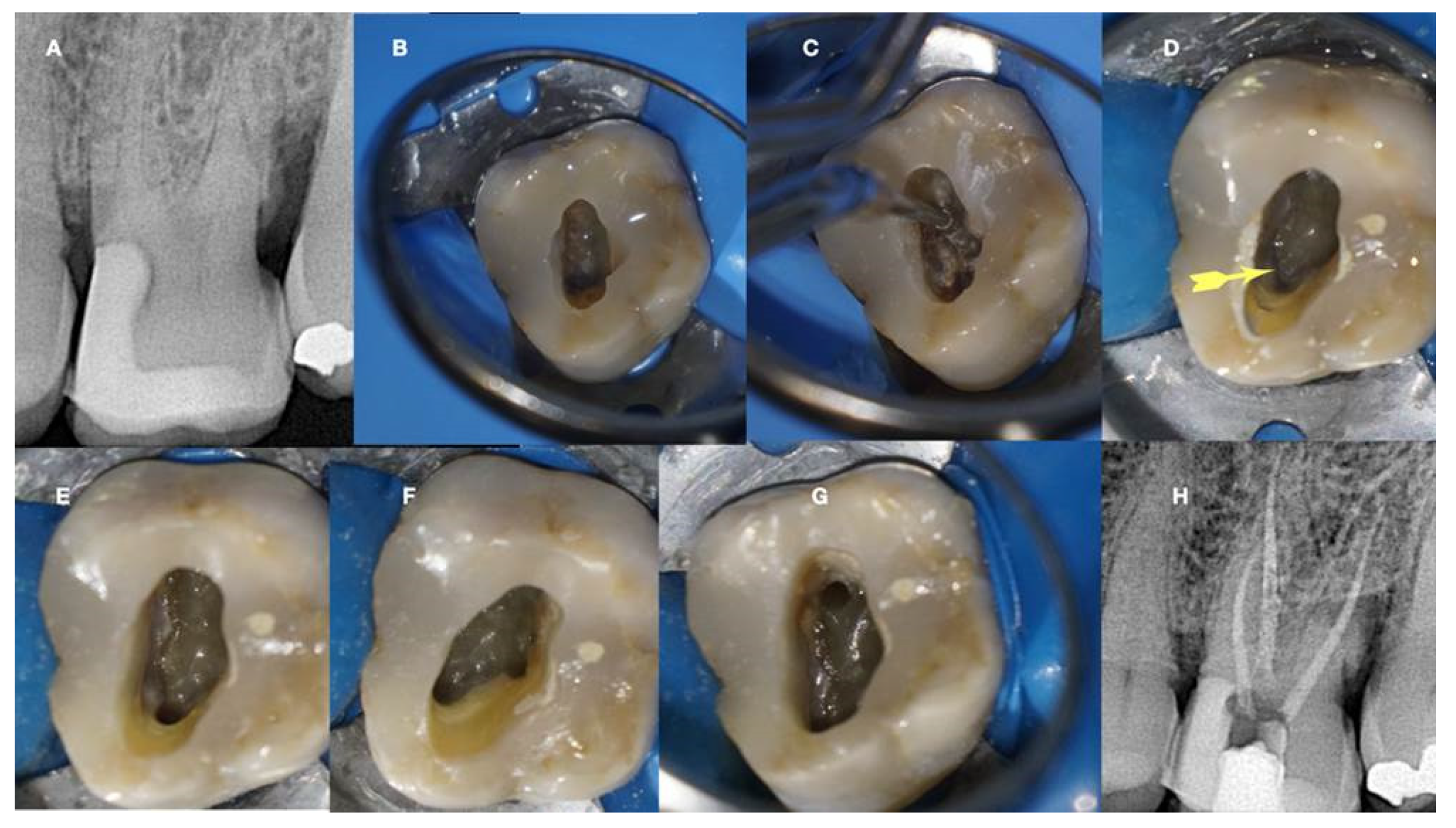 Preprints 101803 g012