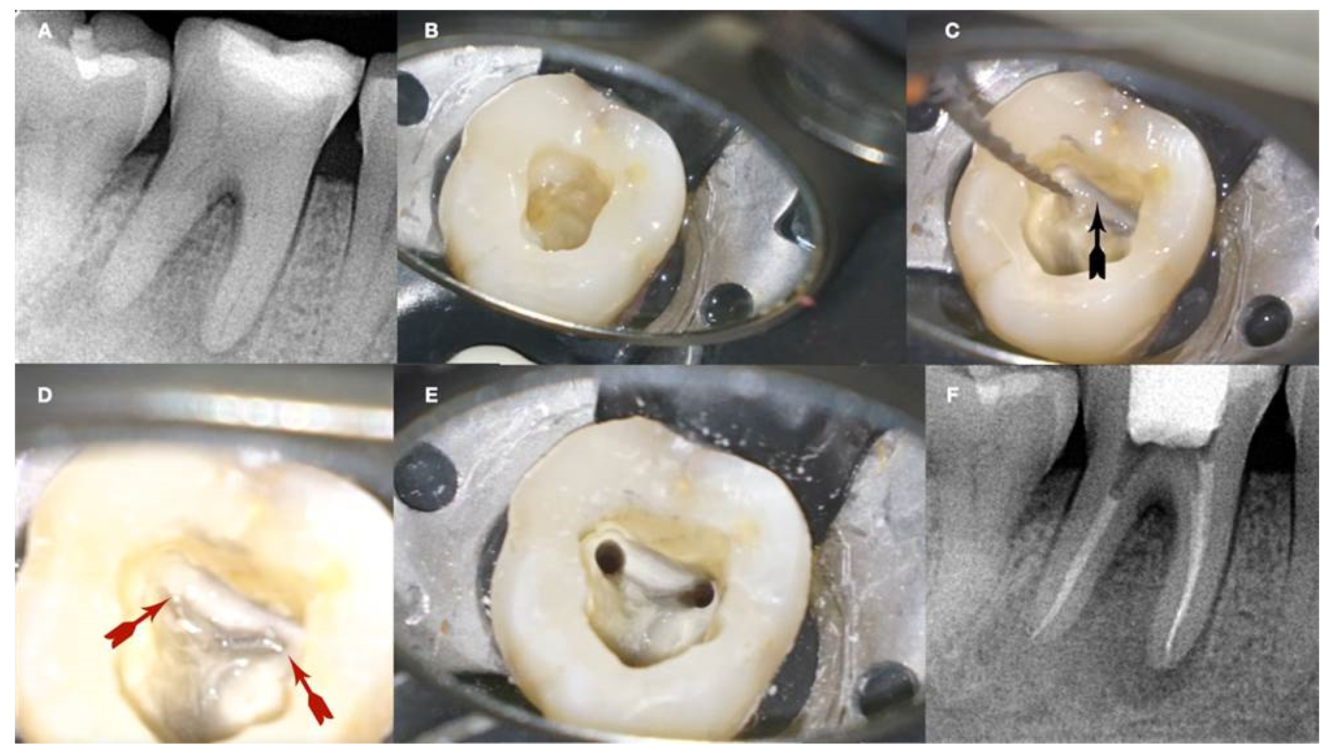 Preprints 101803 g013