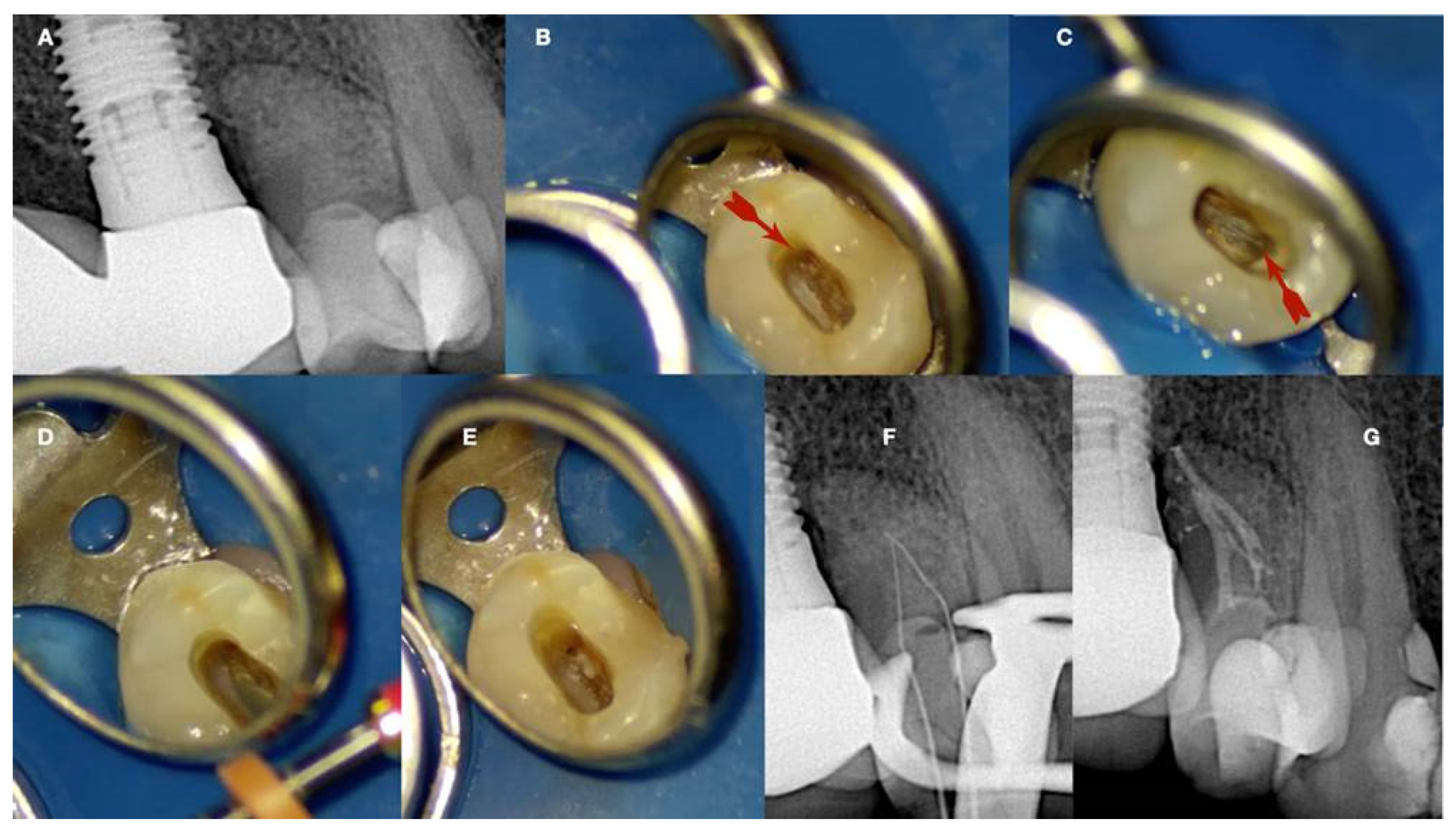 Preprints 101803 g014
