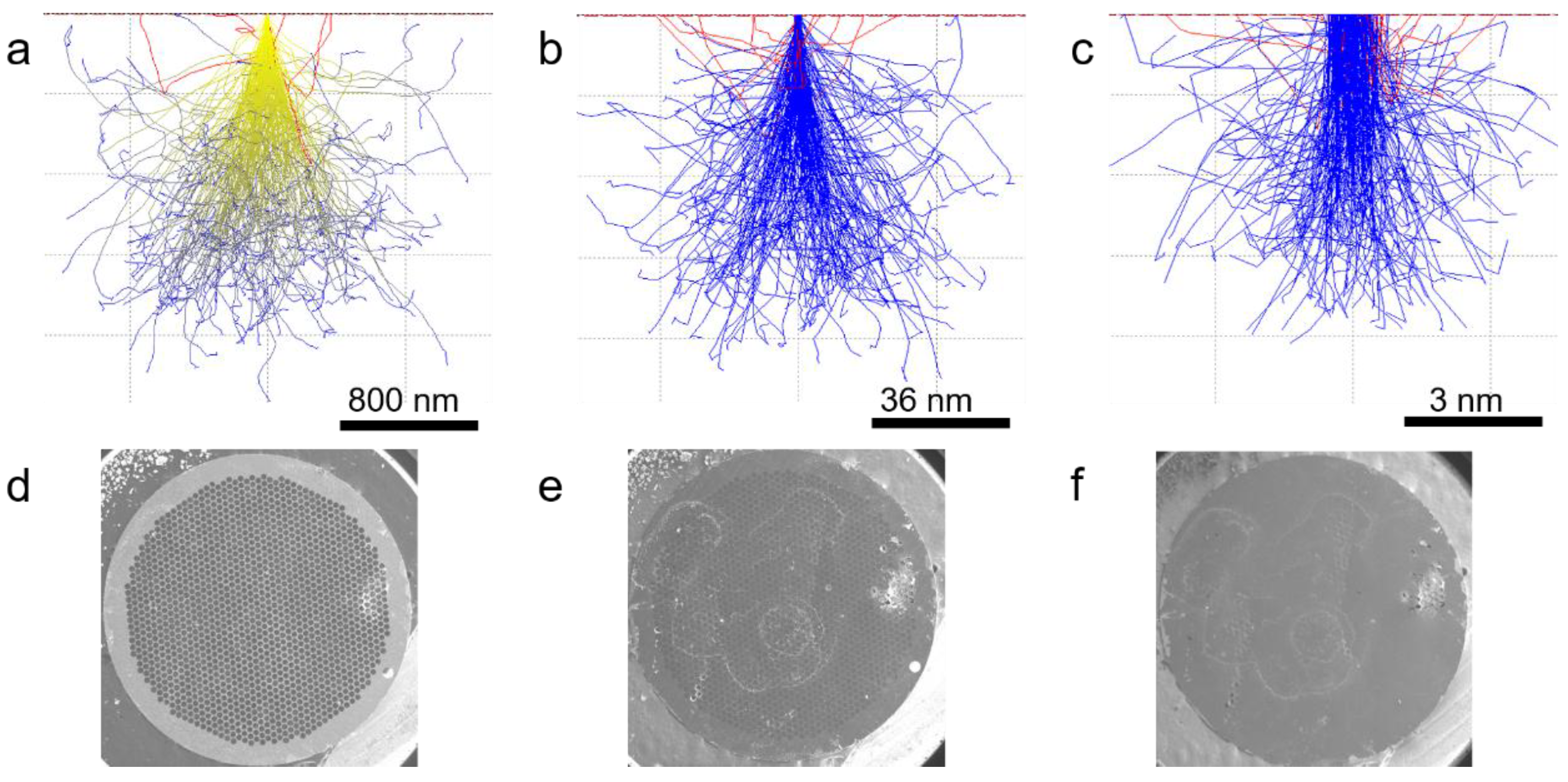 Preprints 184118 g002