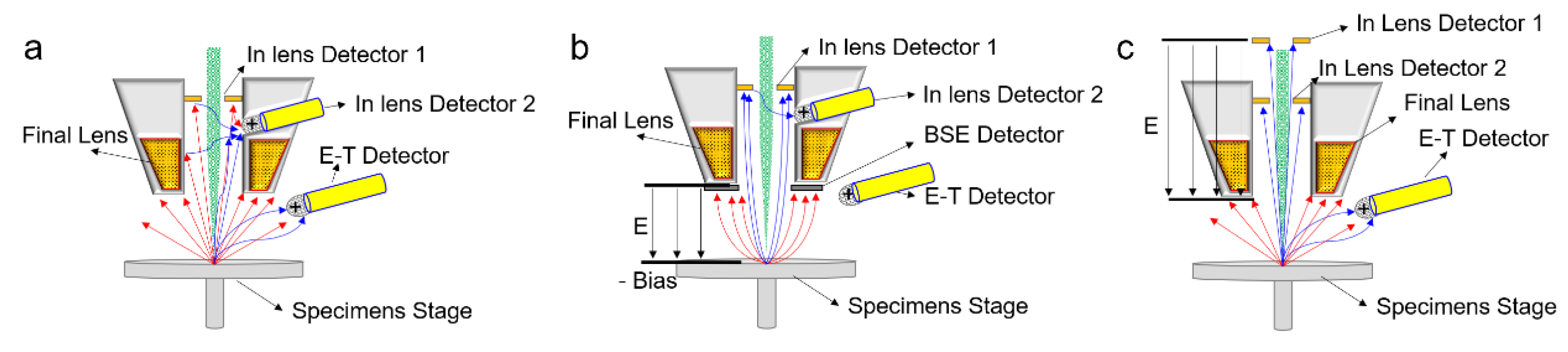 Preprints 184118 g003