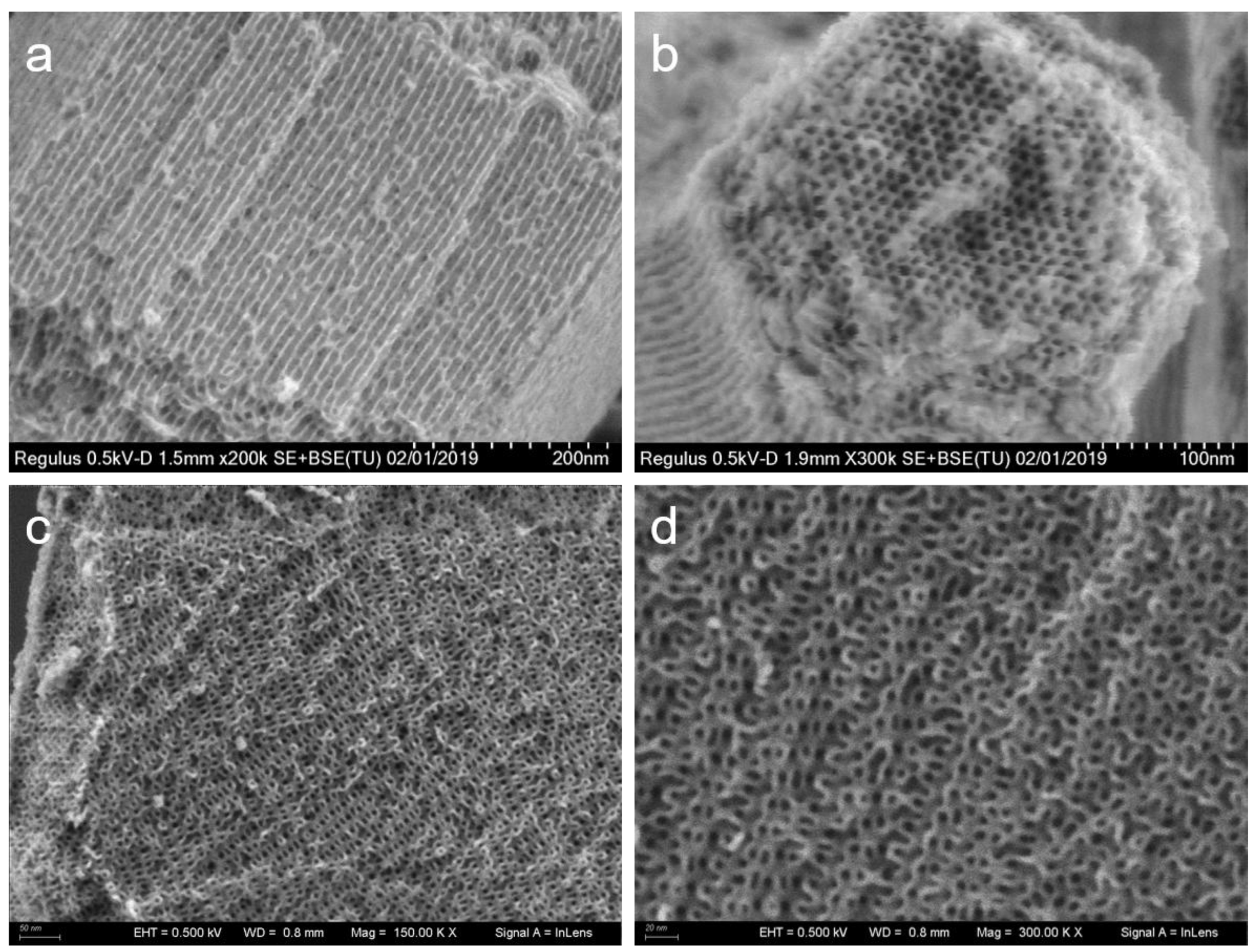 Preprints 184118 g004