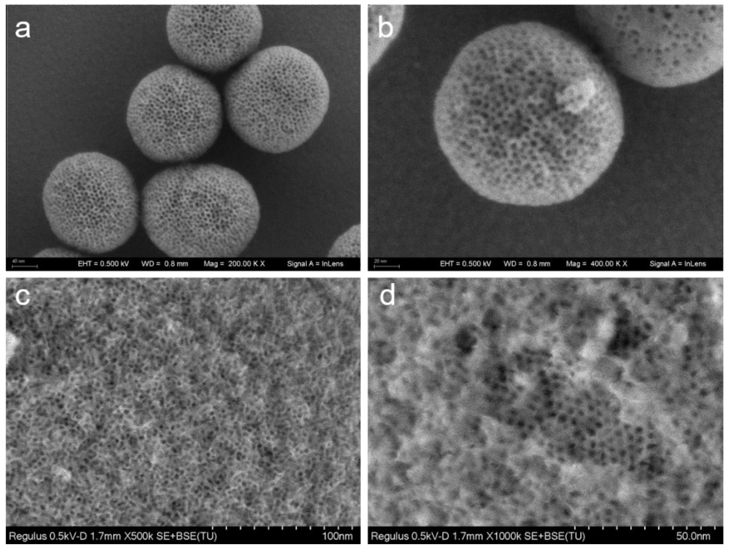Preprints 184118 g005
