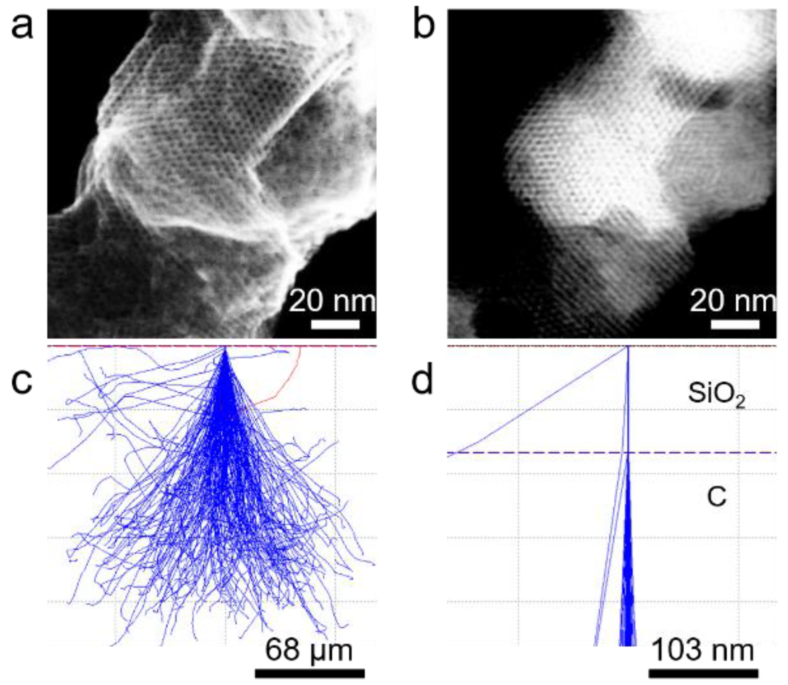 Preprints 184118 g006