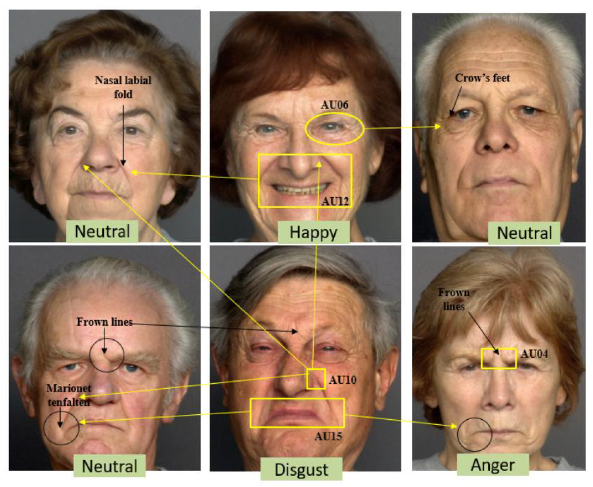 Preprints 180186 g001