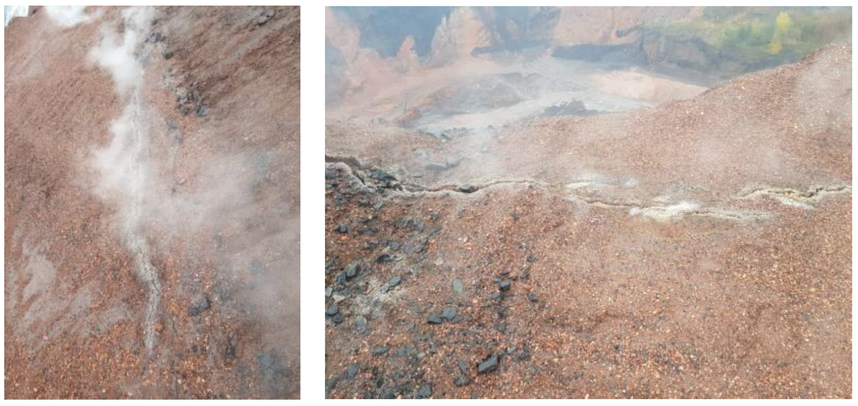 Preprints 156826 g004