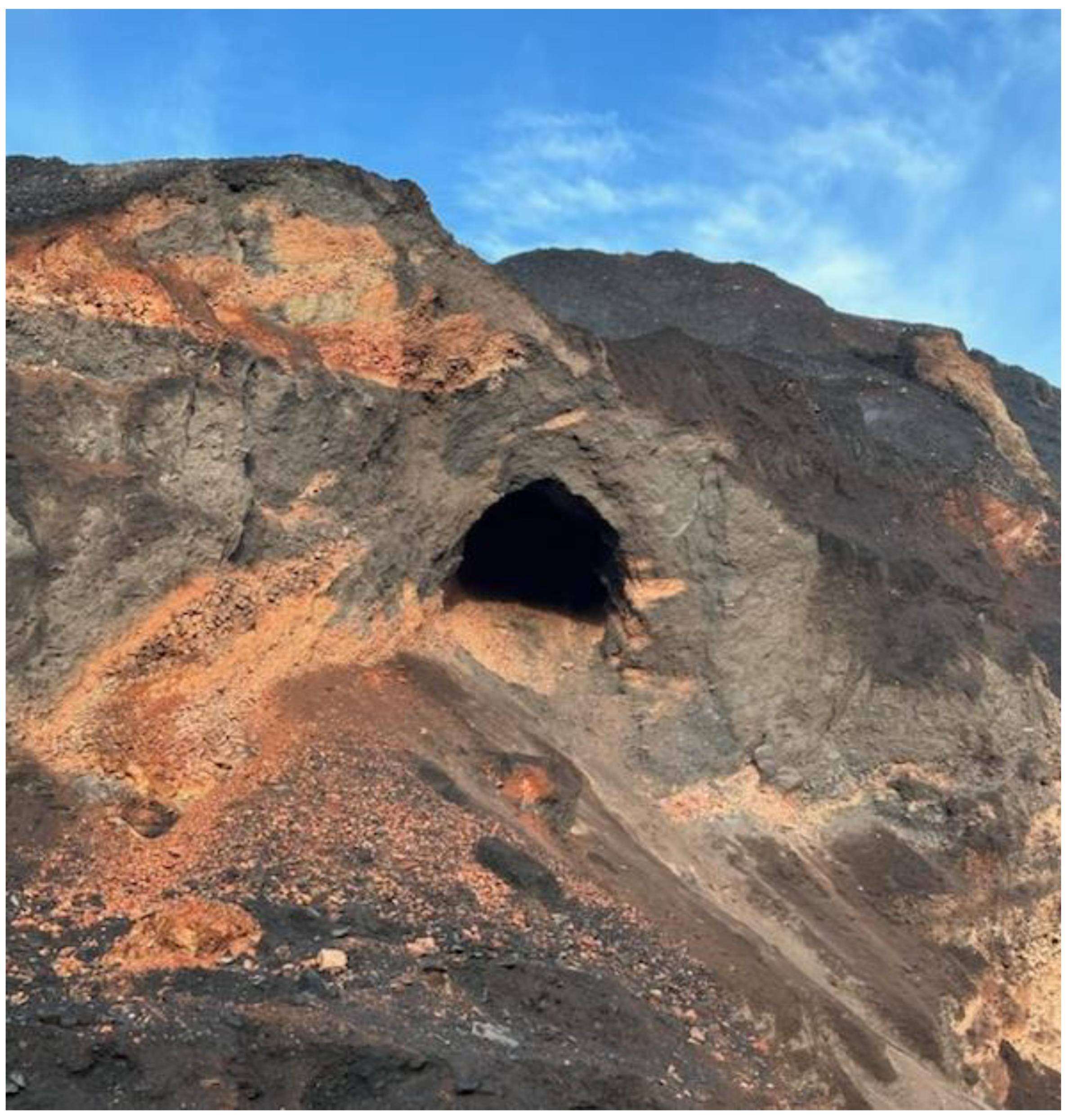 Preprints 156826 g005