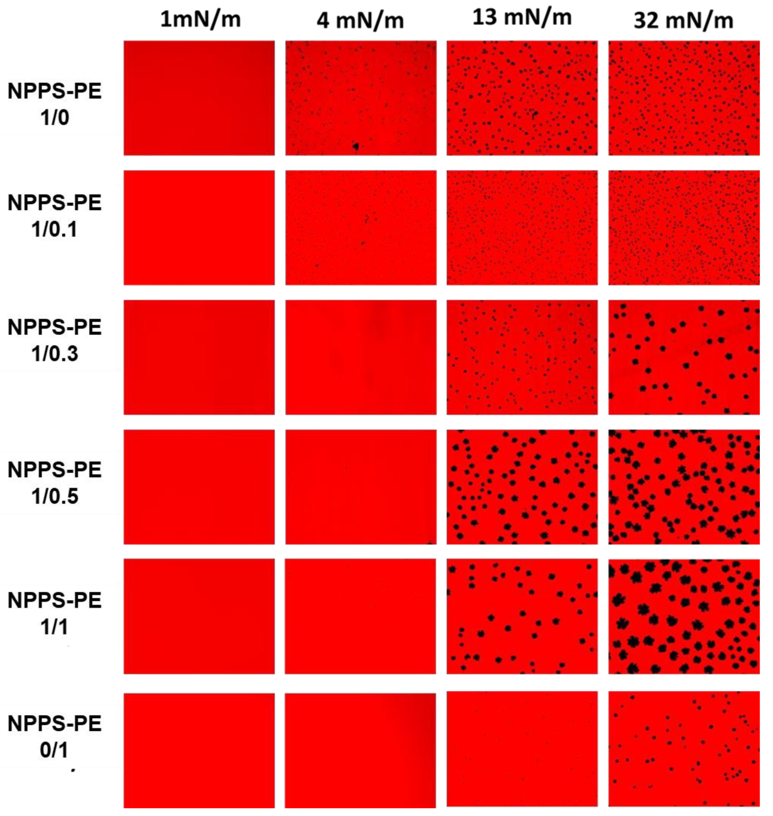 Preprints 161500 g002