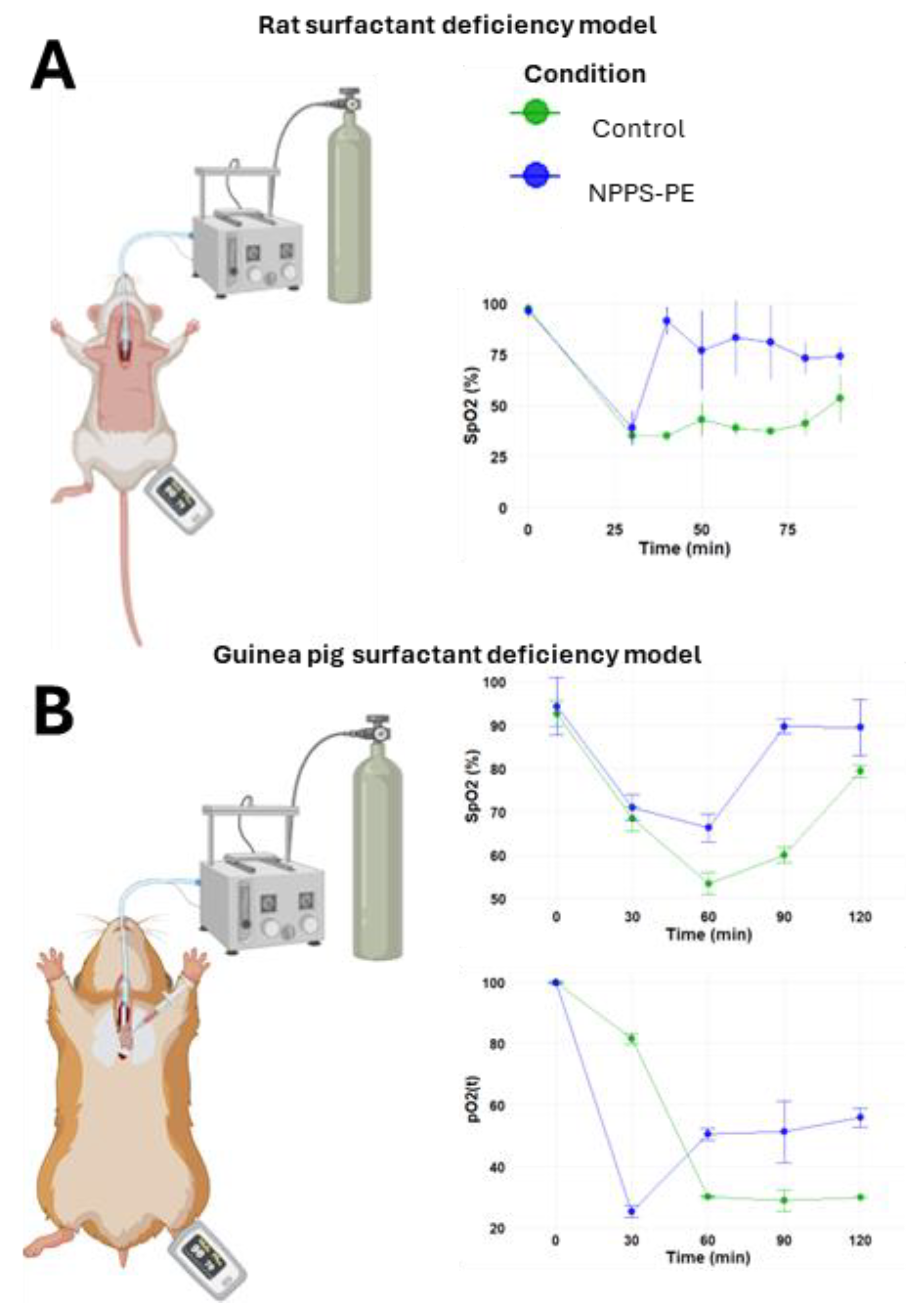Preprints 161500 g004