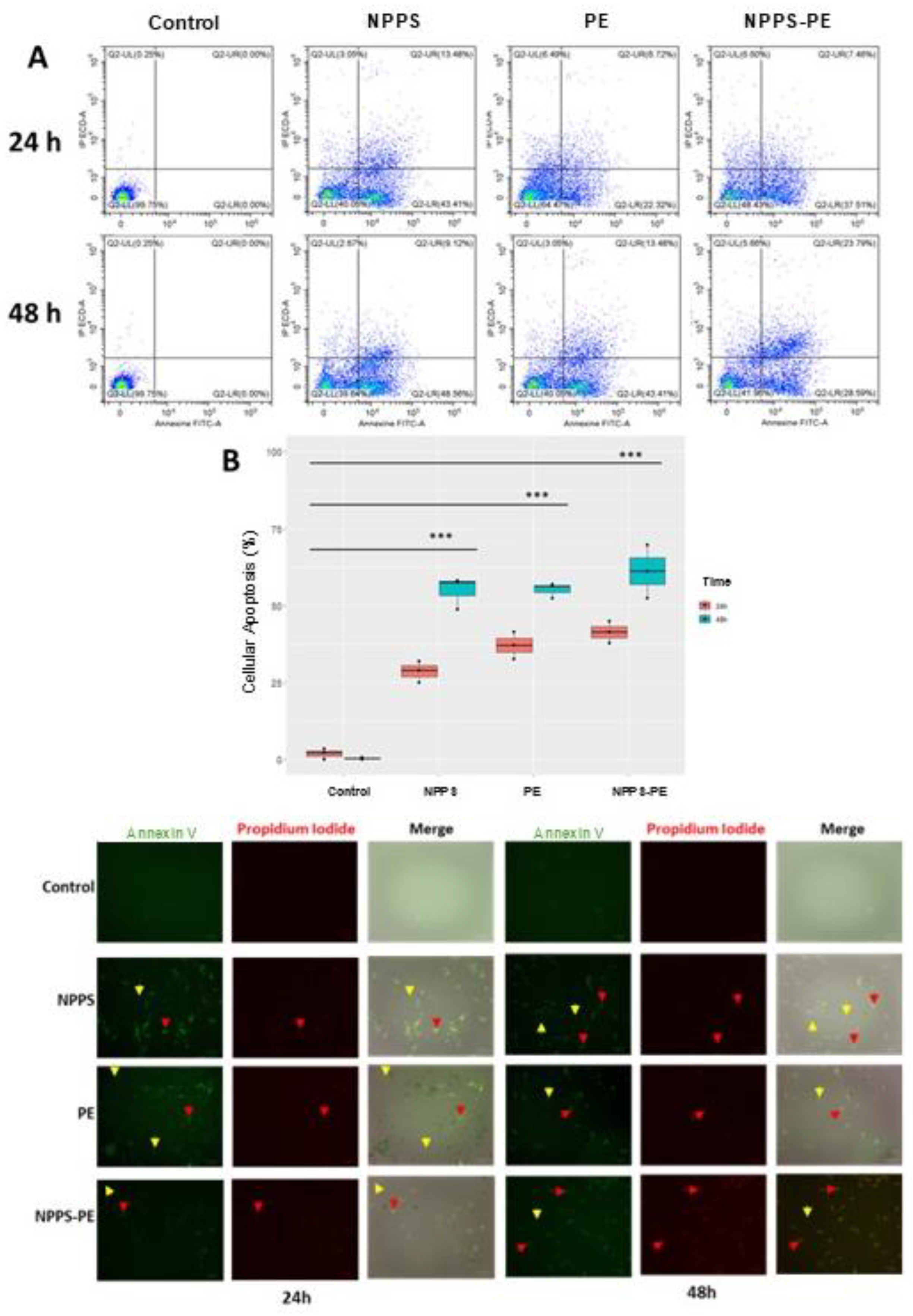 Preprints 161500 g006