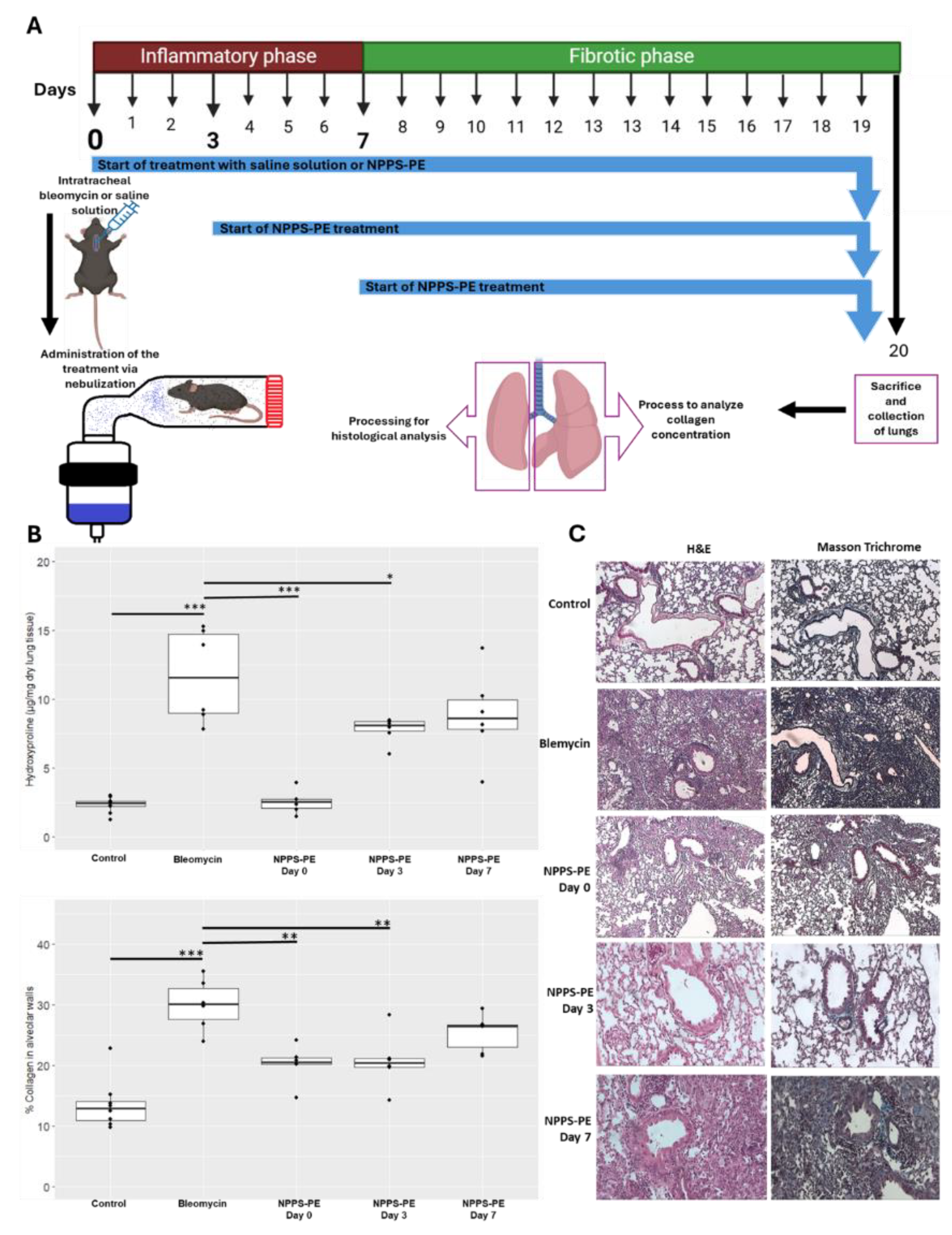 Preprints 161500 g008