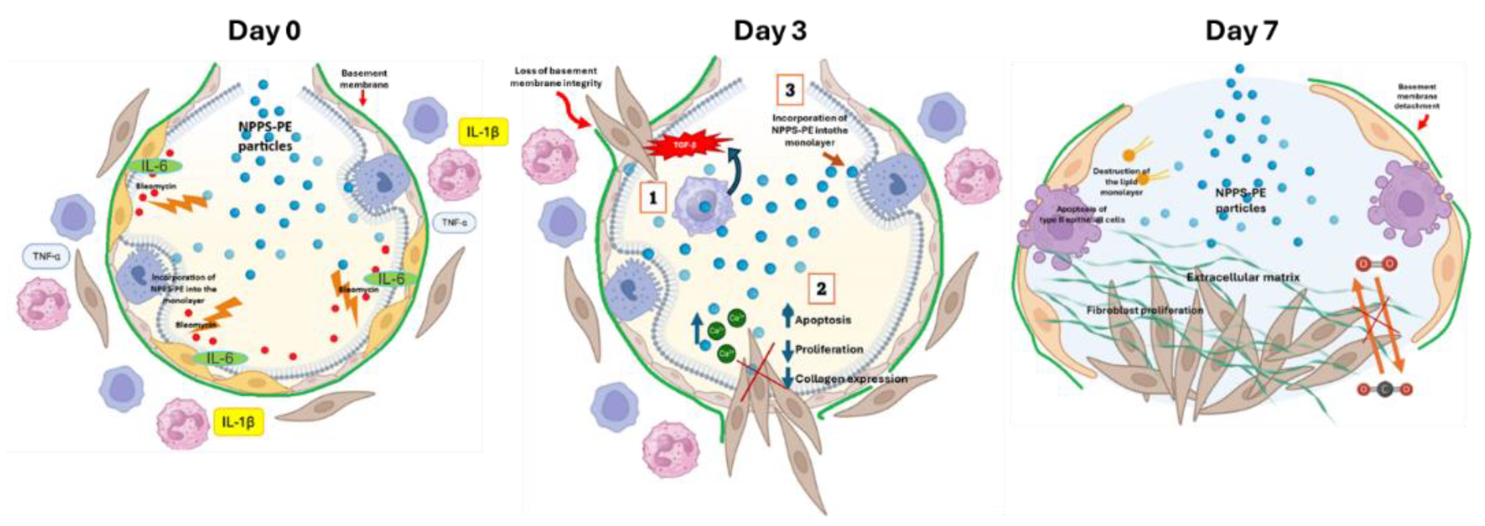 Preprints 161500 g009