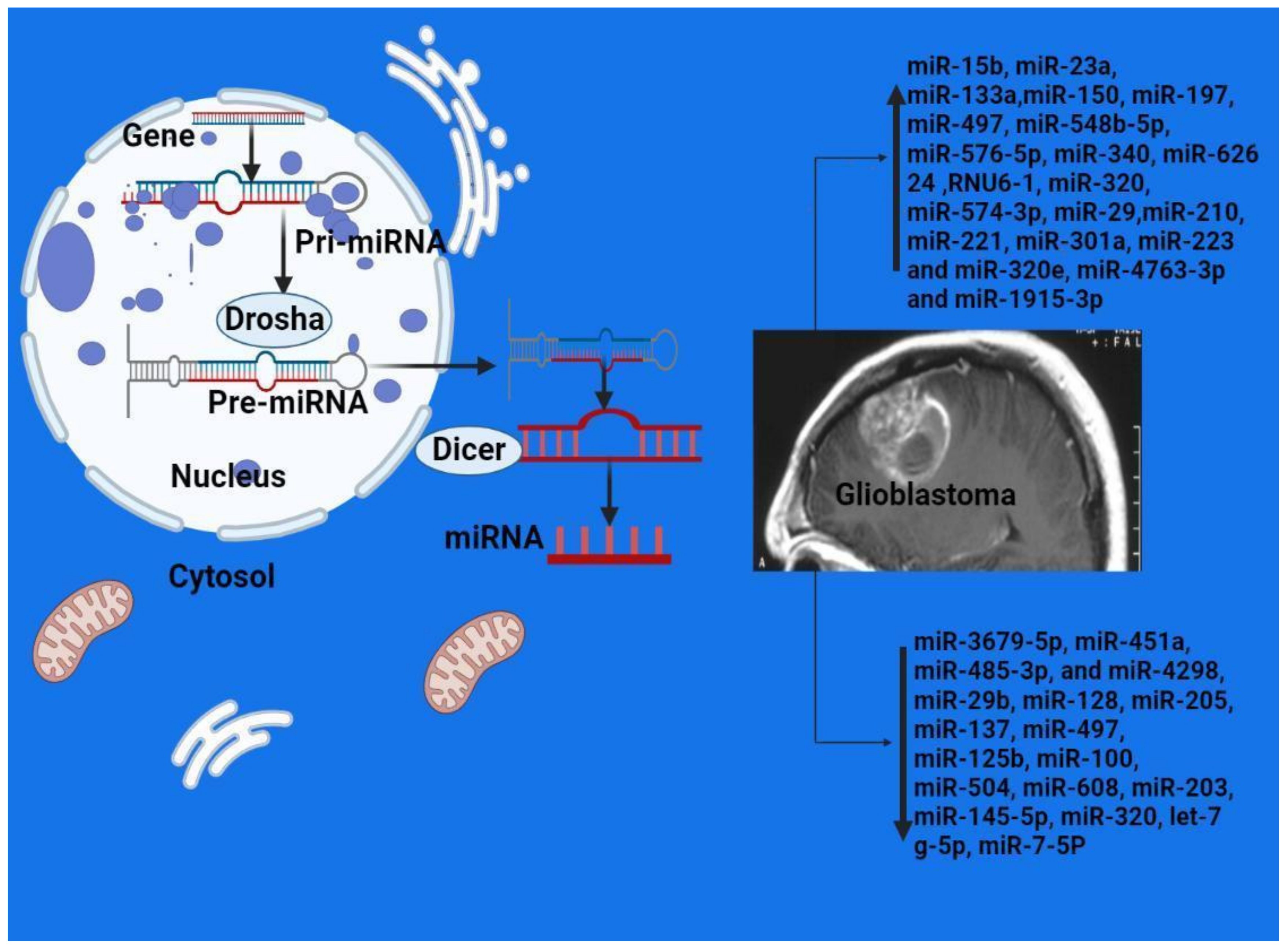 Preprints 153902 g001