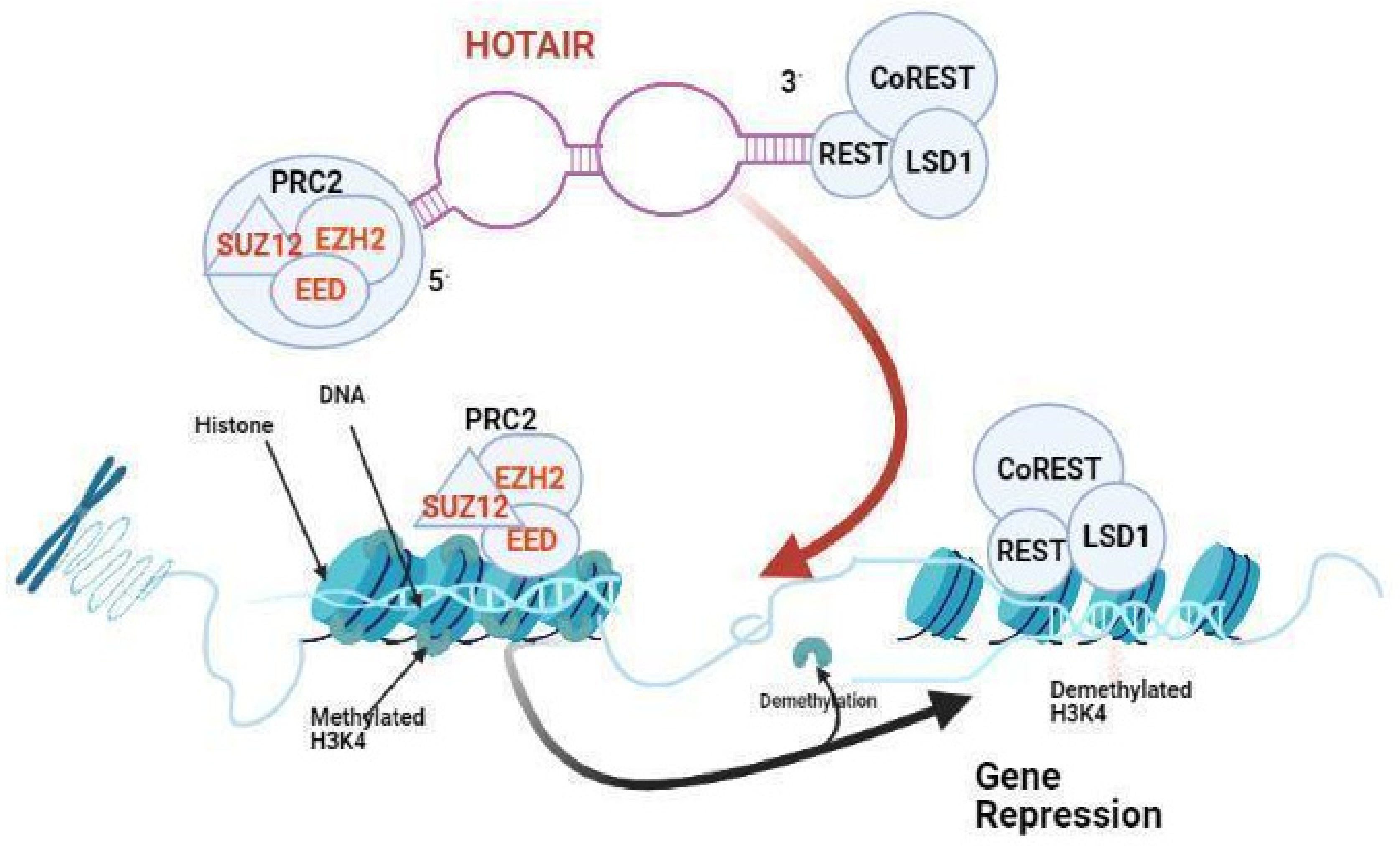 Preprints 153902 g002