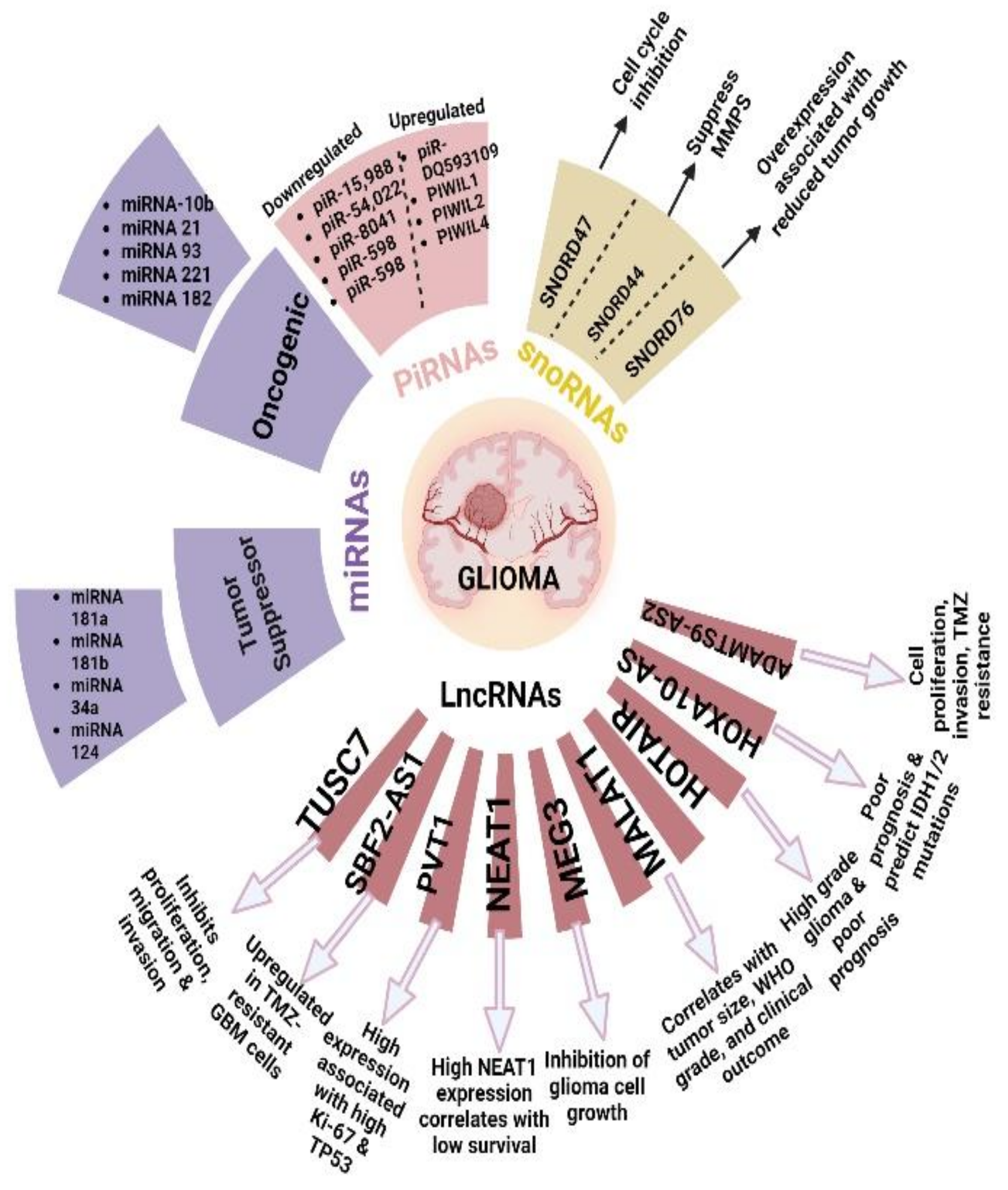 Preprints 153902 g003