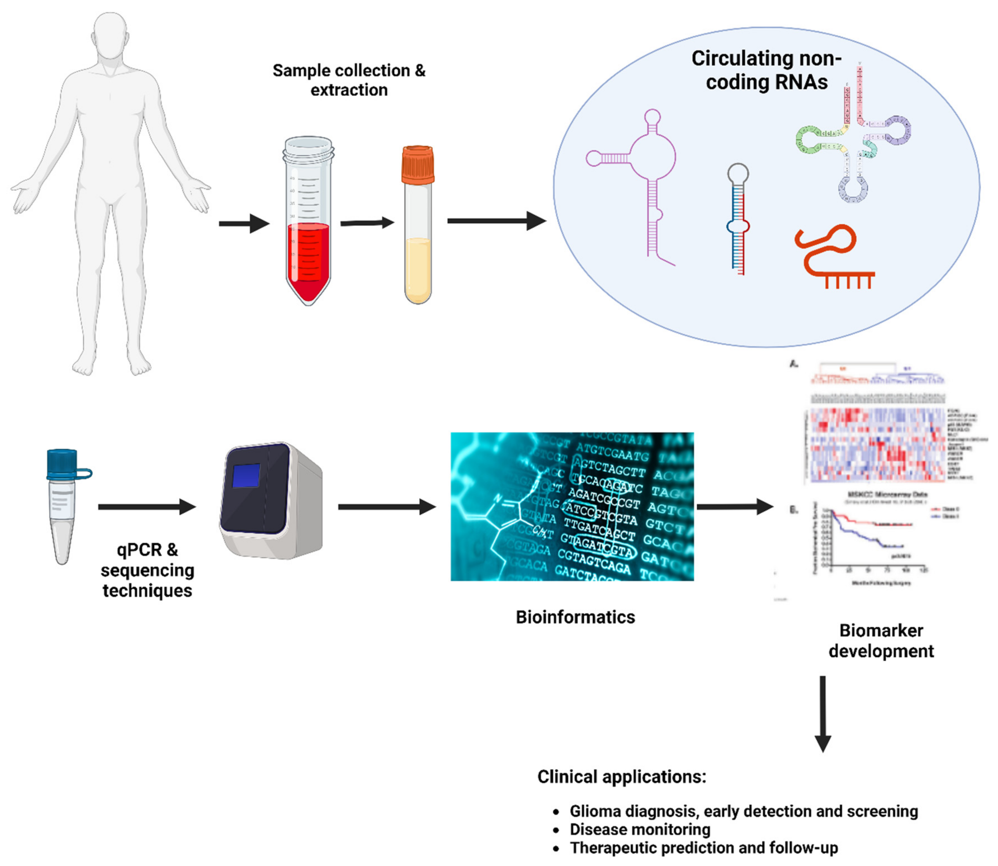 Preprints 153902 g004
