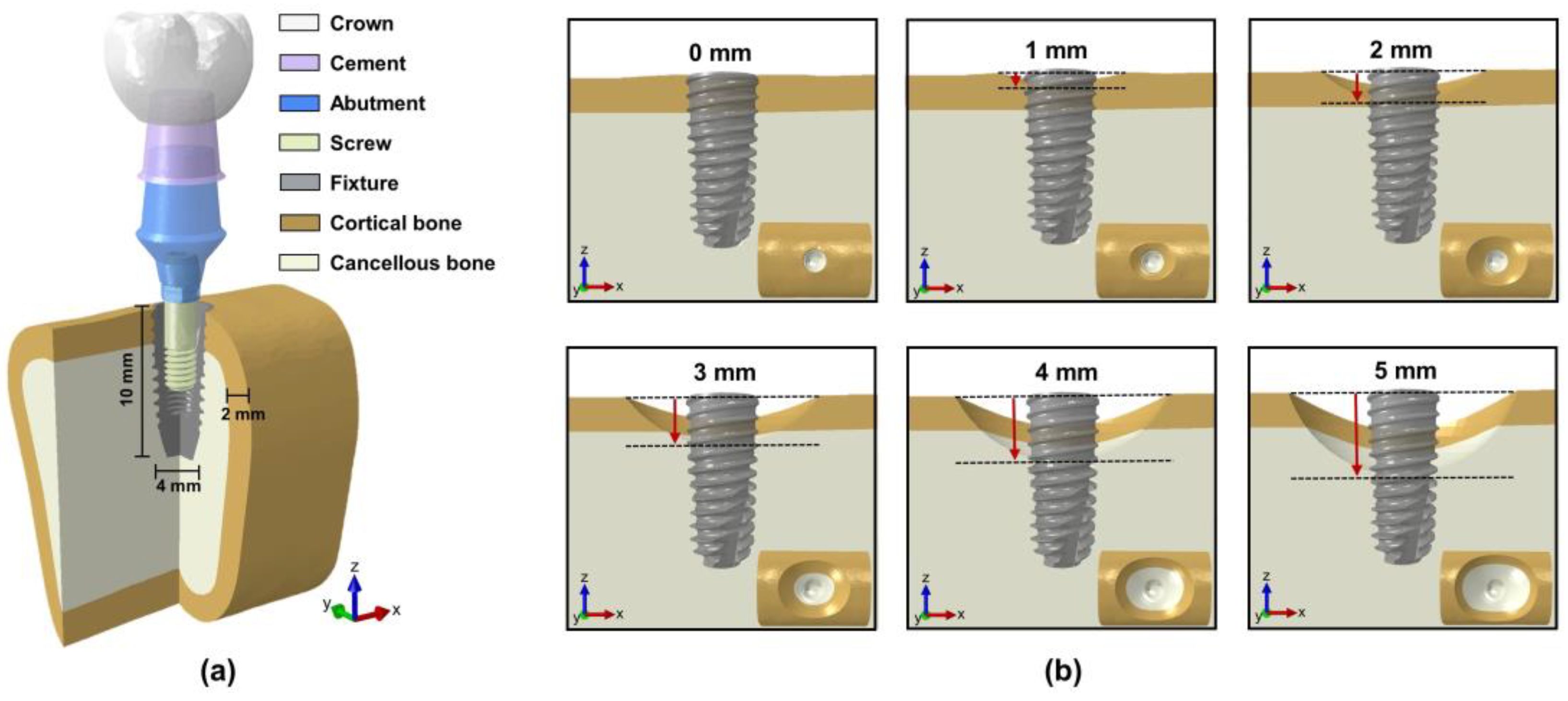Preprints 142217 g001