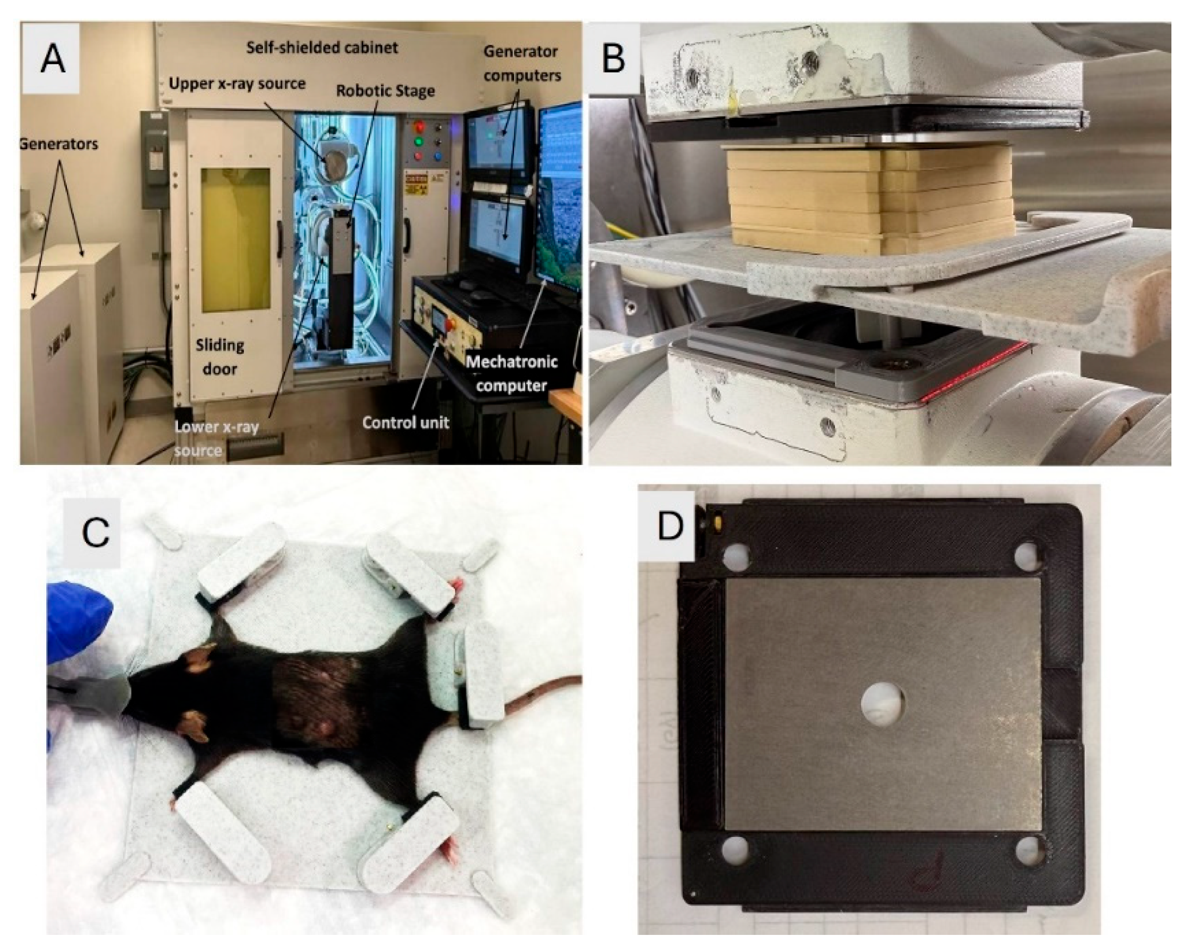 Preprints 175164 g001