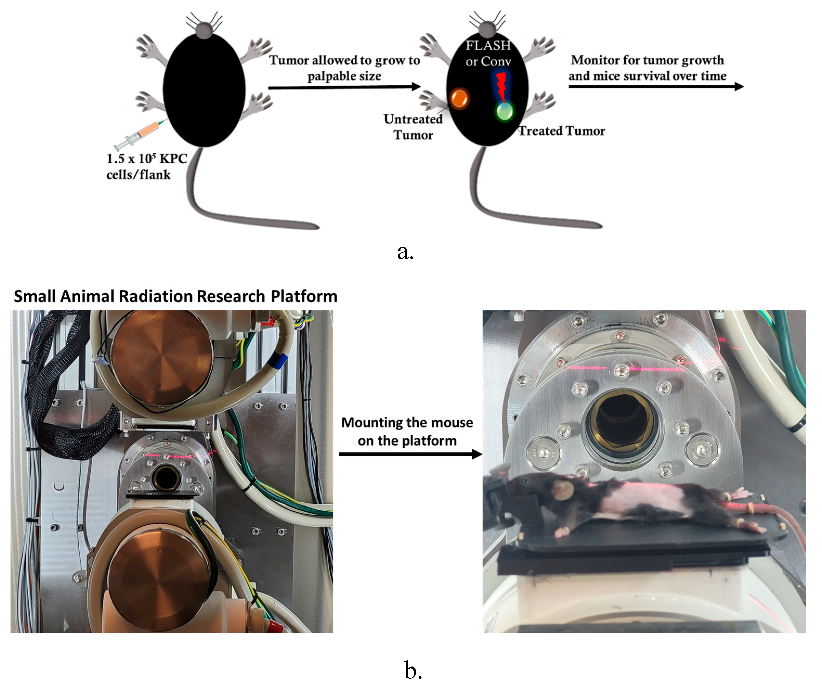 Preprints 175164 g002
