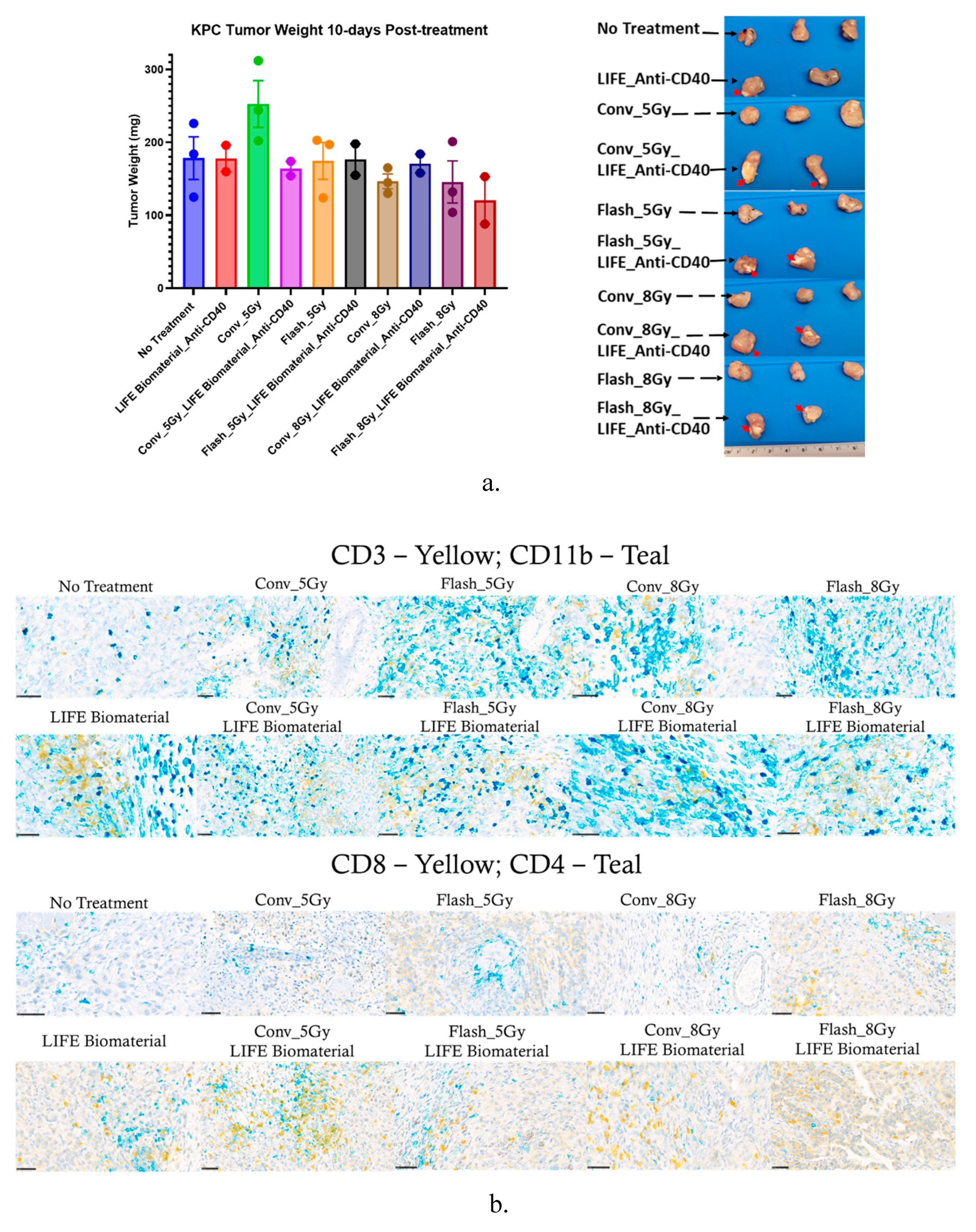 Preprints 175164 g006a