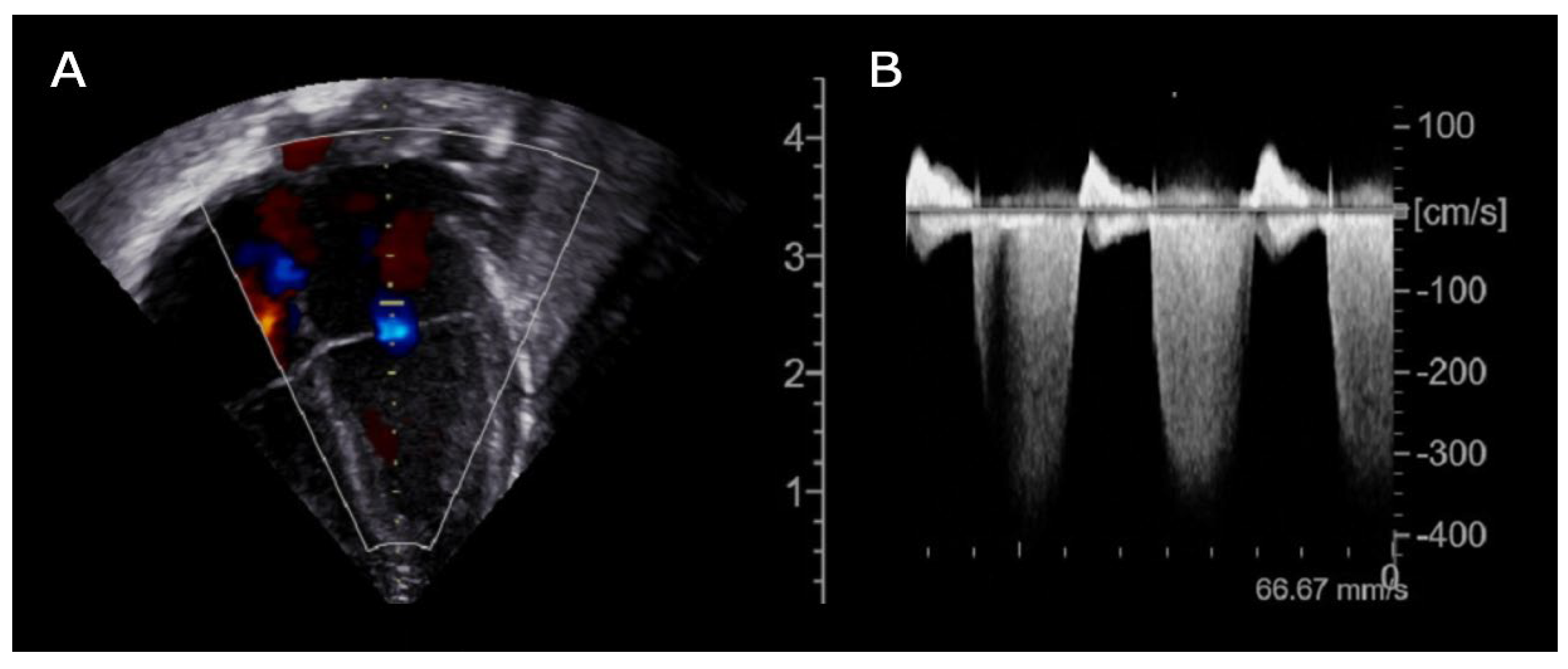 Preprints 159278 g002