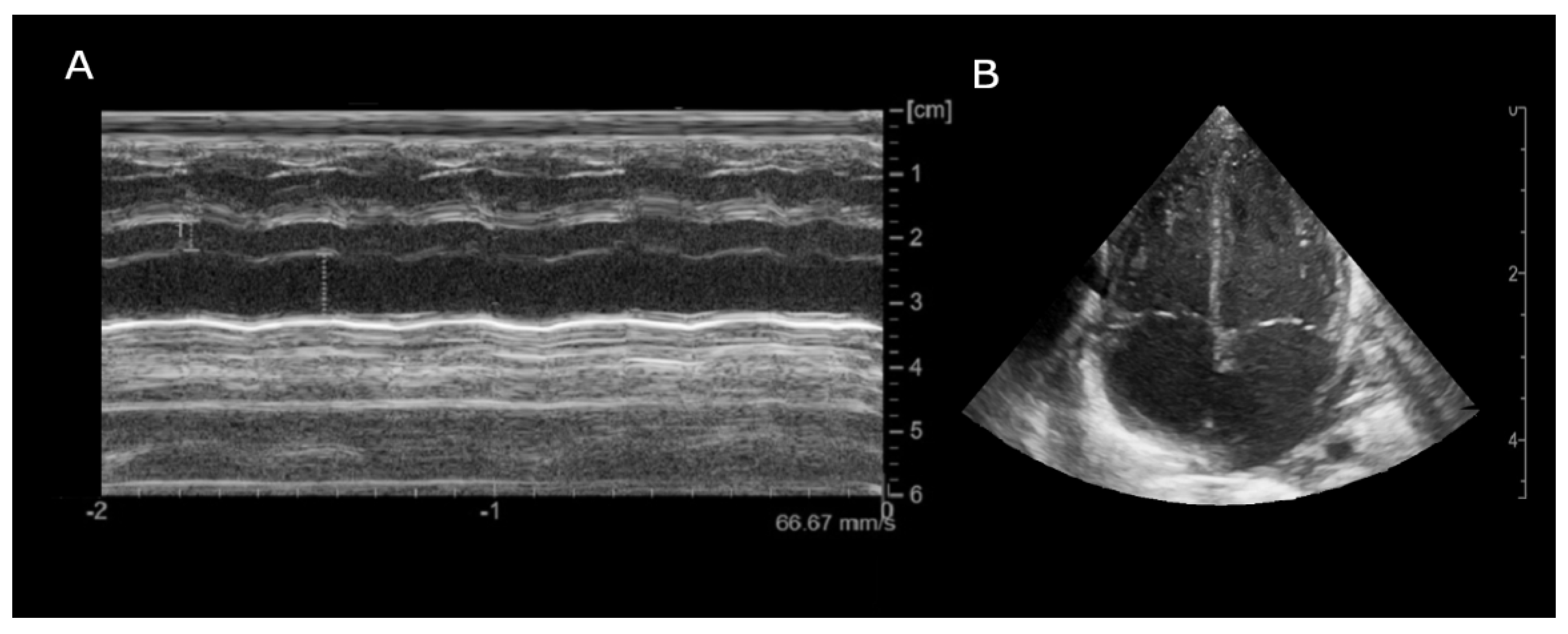 Preprints 159278 g005