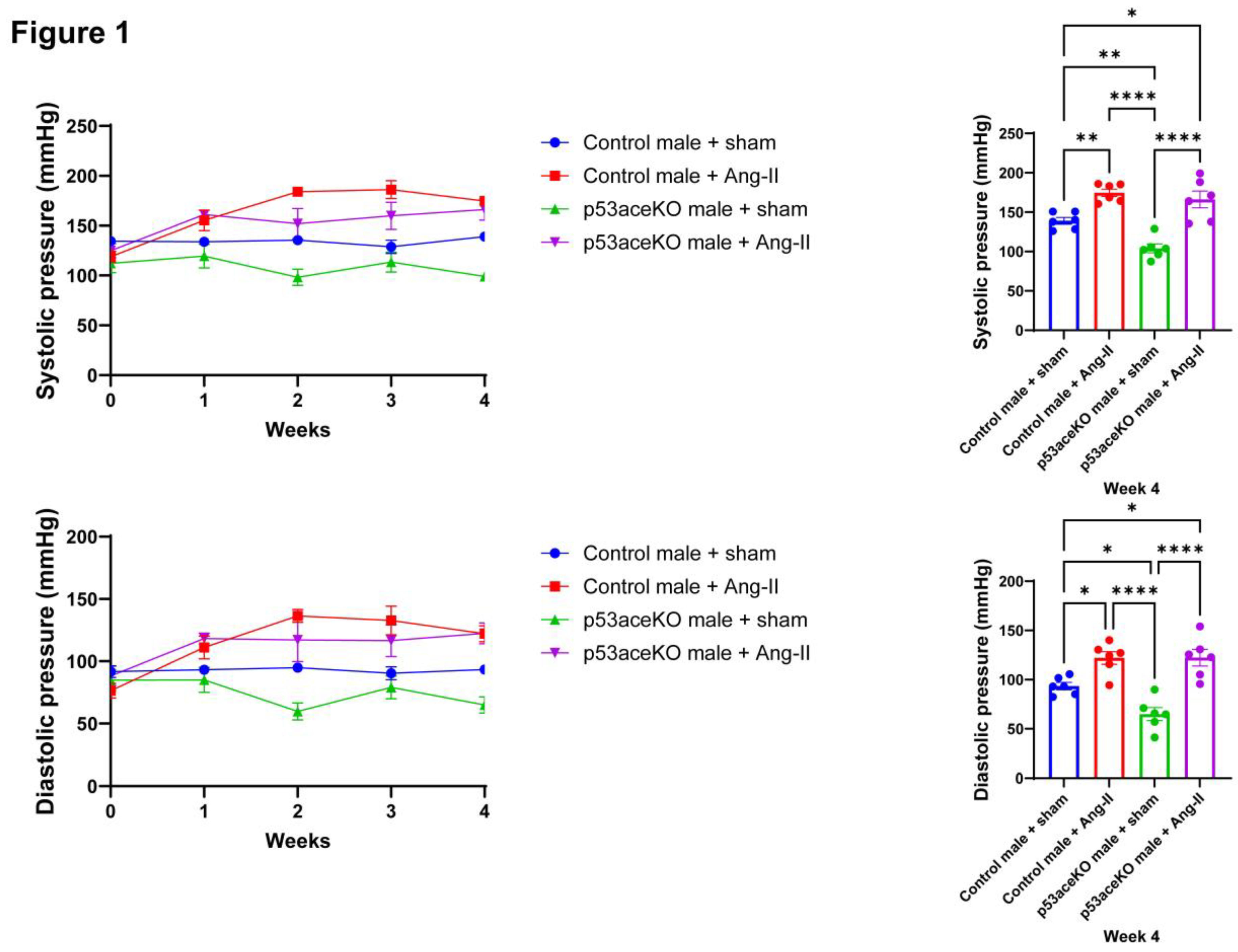 Preprints 167177 g001