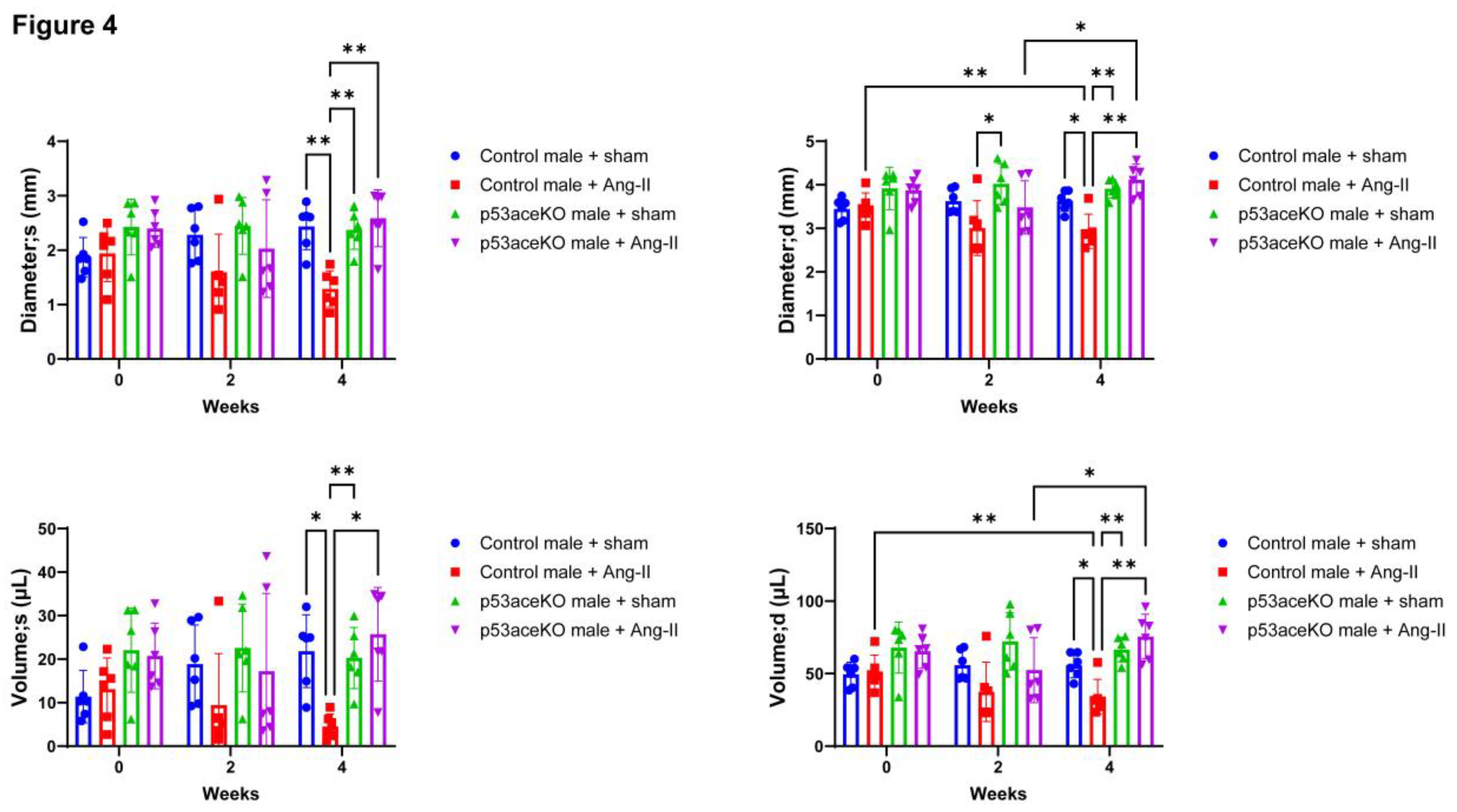 Preprints 167177 g004