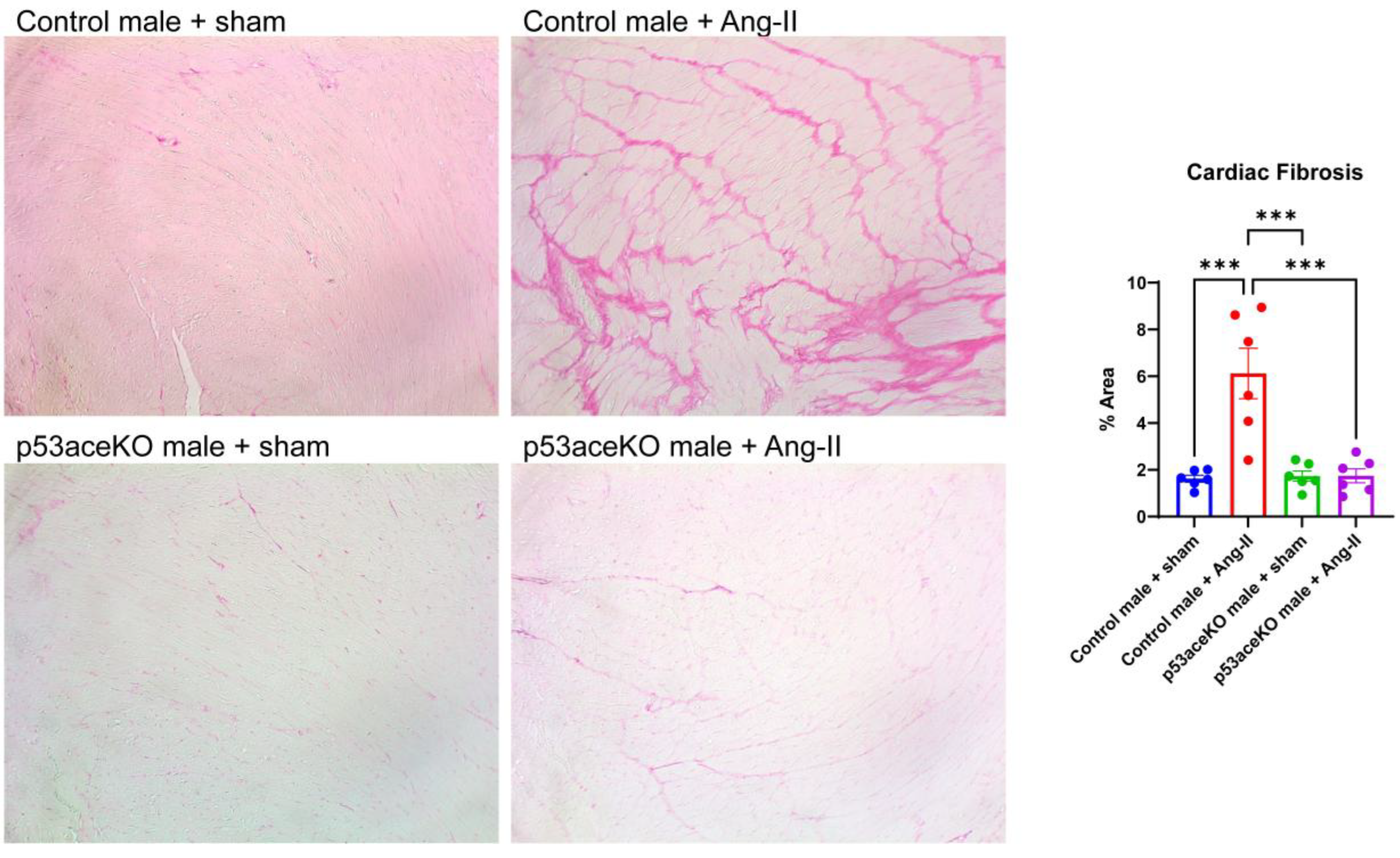 Preprints 167177 g005