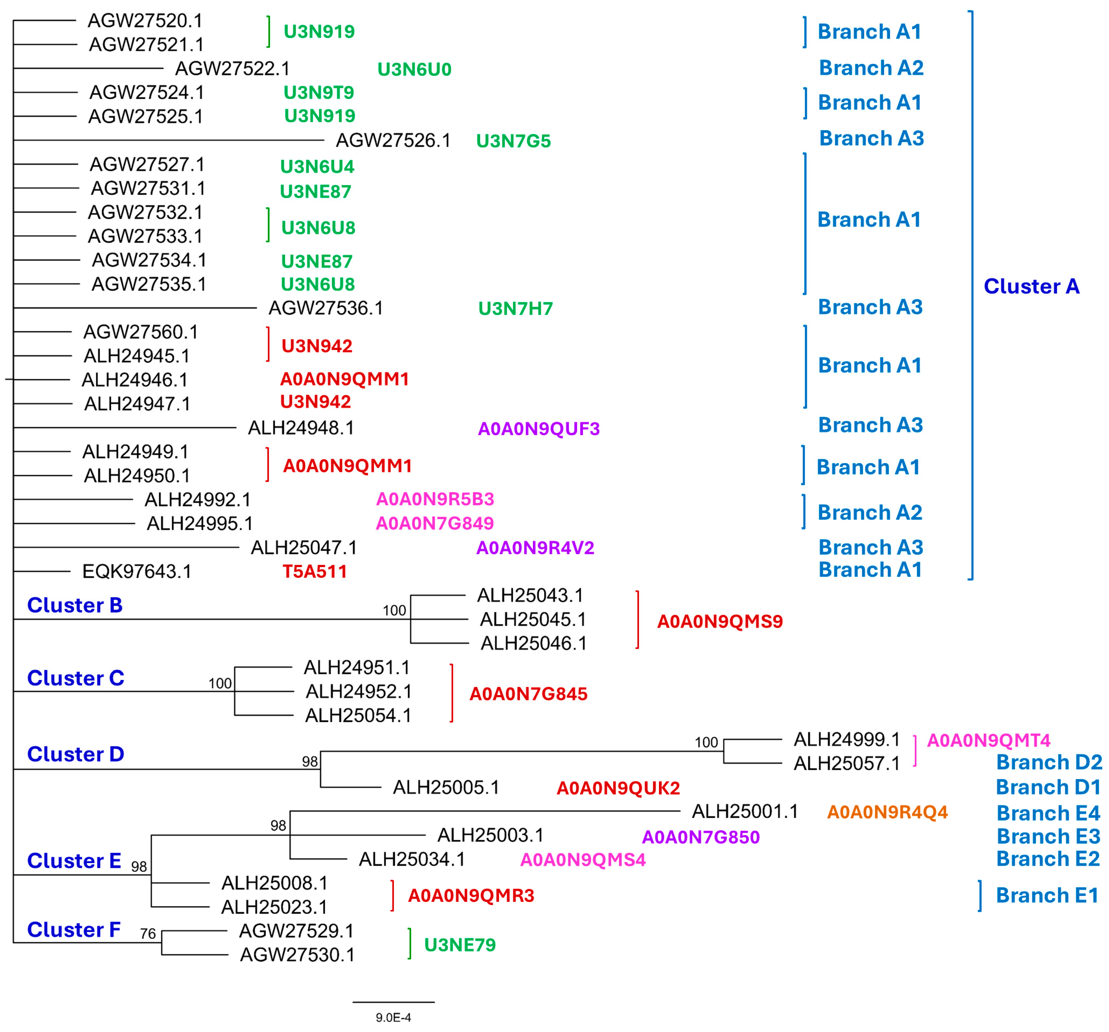 Preprints 146380 g001