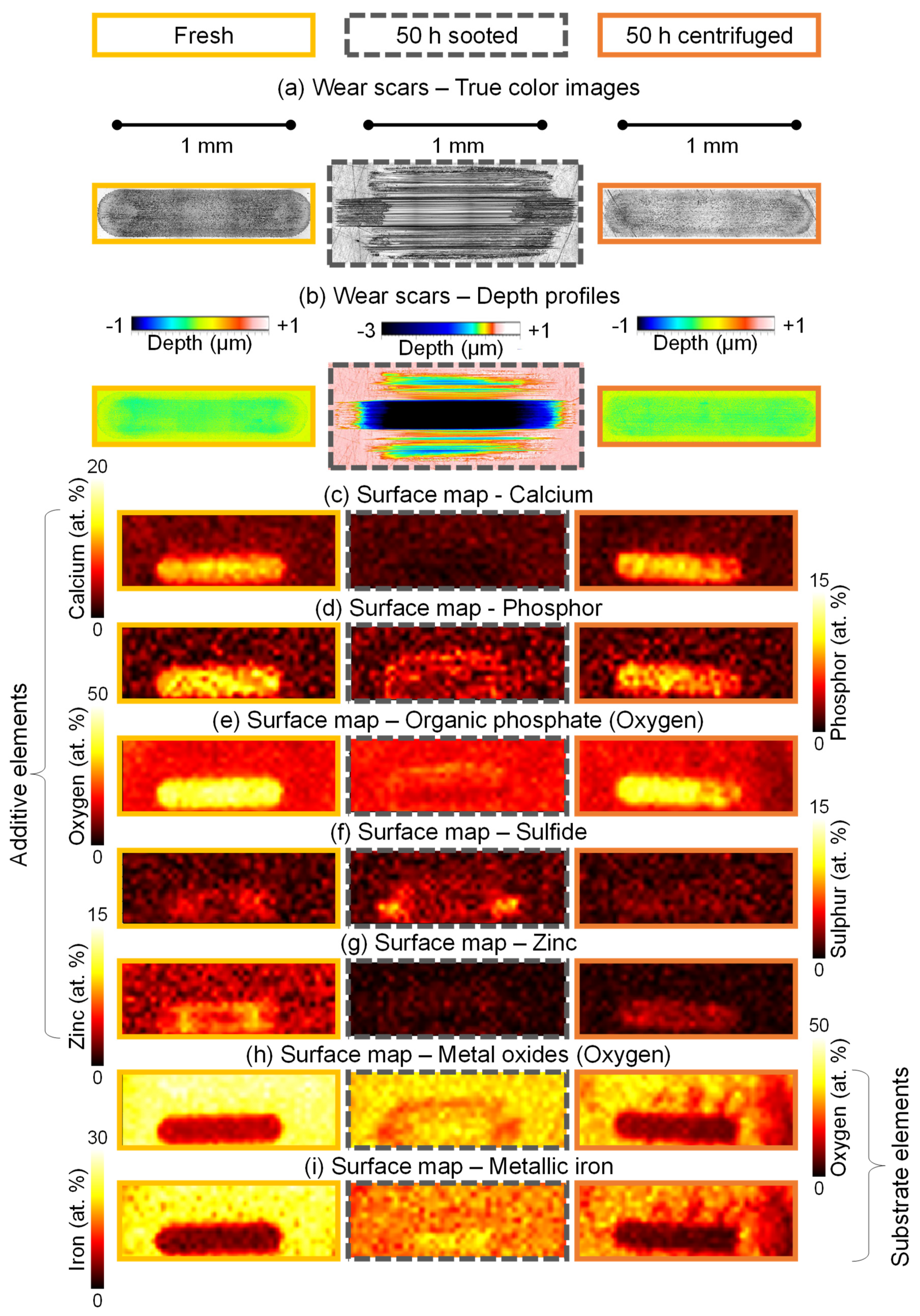 Preprints 120254 g011