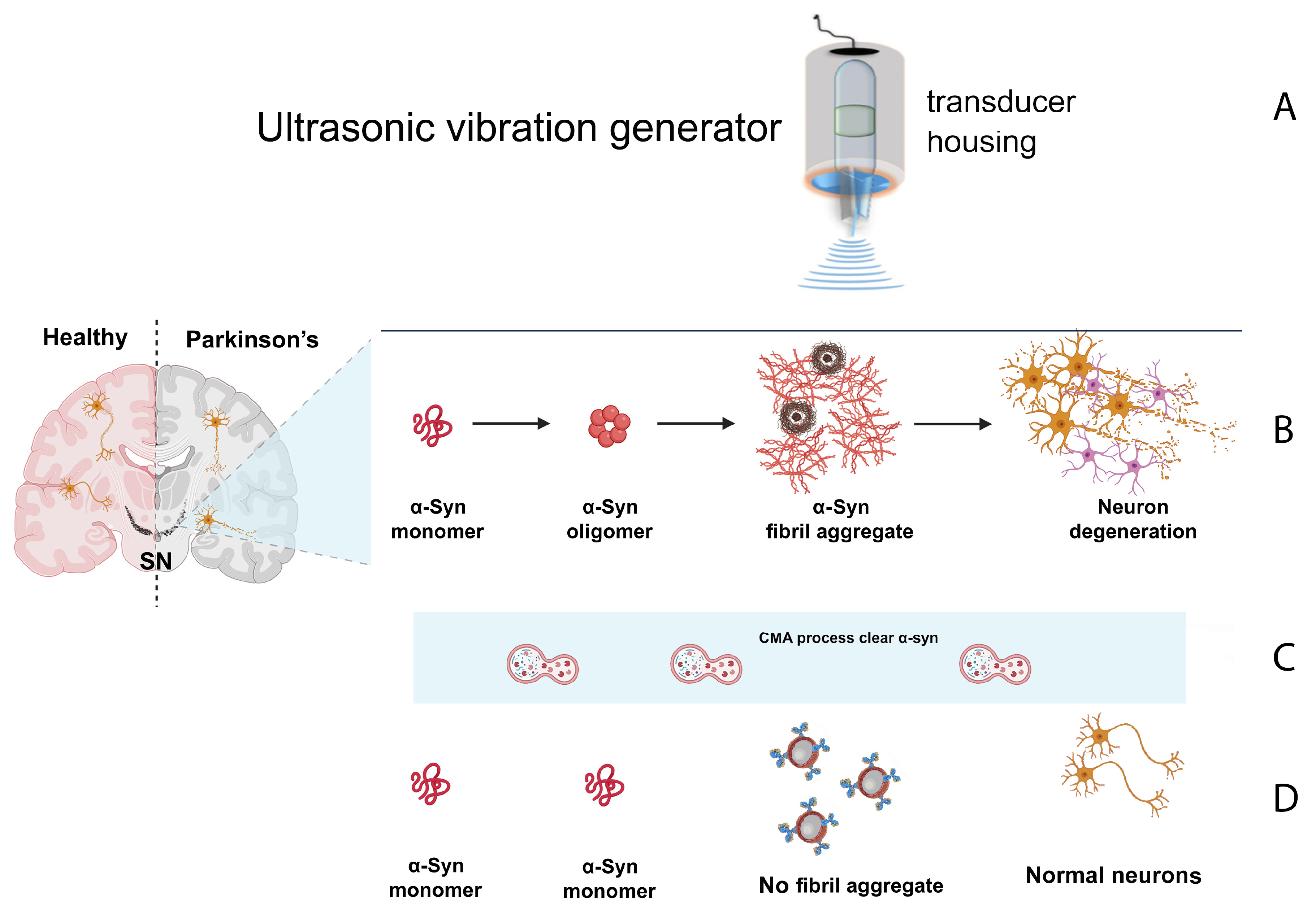 Preprints 205564 g004