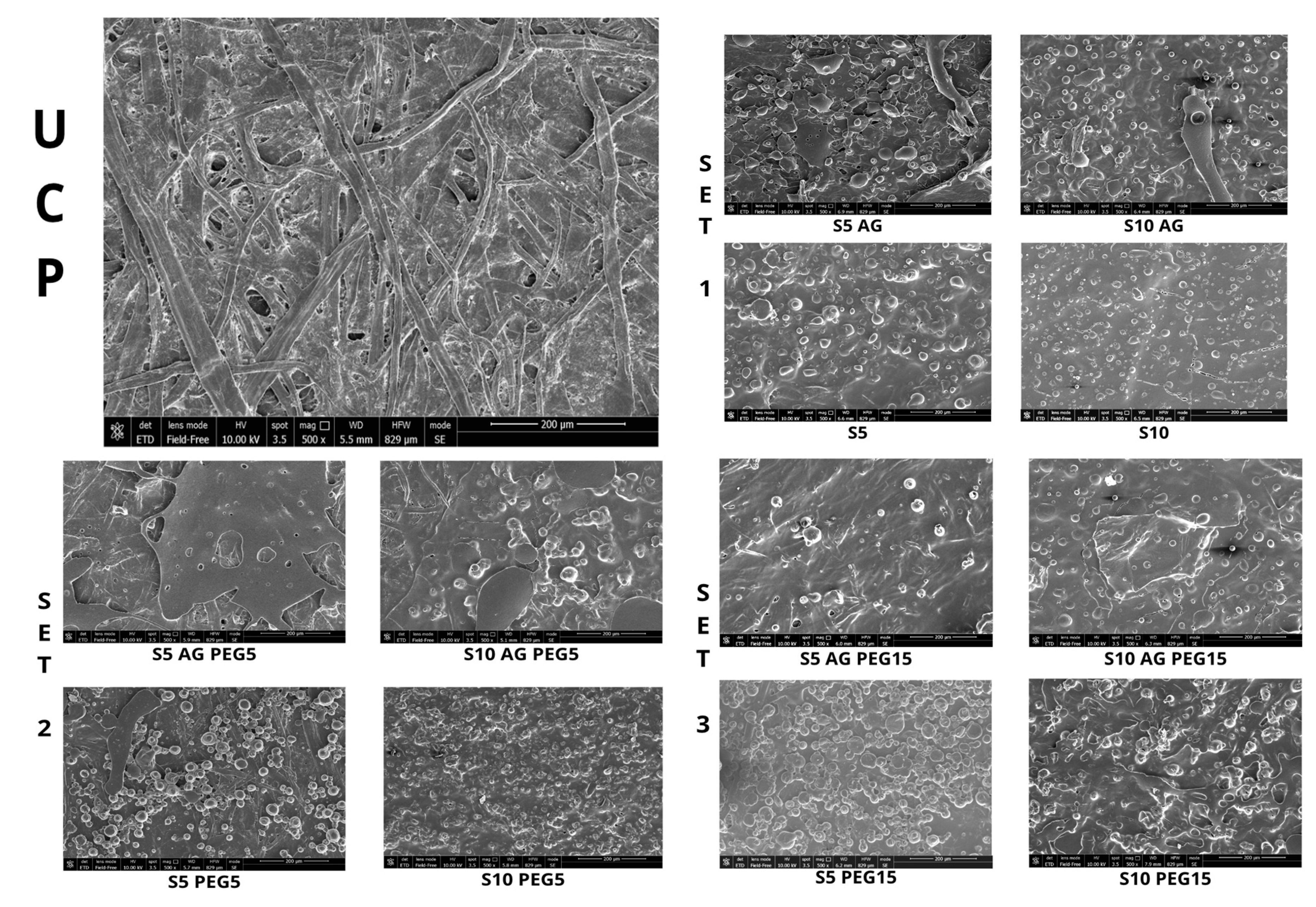 Preprints 82113 g002