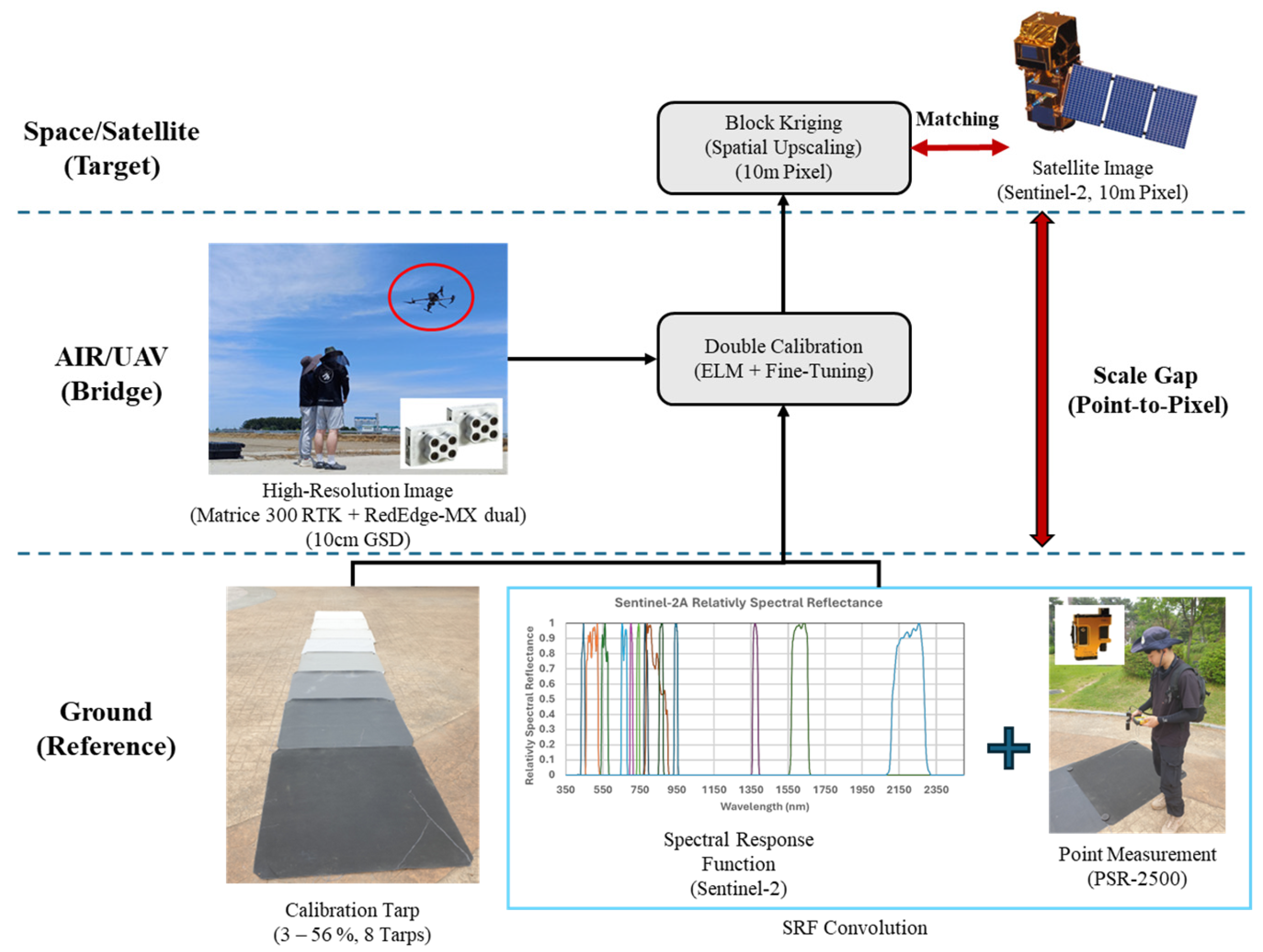 Preprints 191182 g002