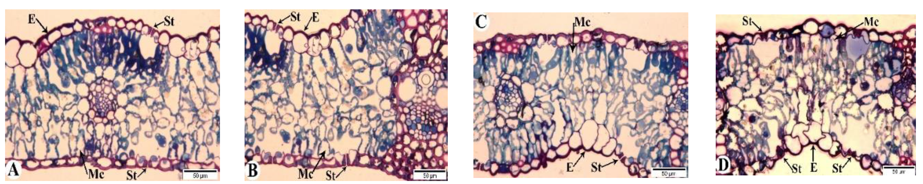 Preprints 120451 g008