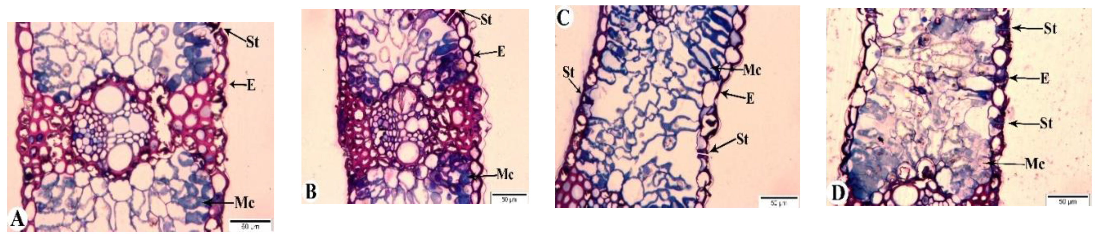 Preprints 120451 g009