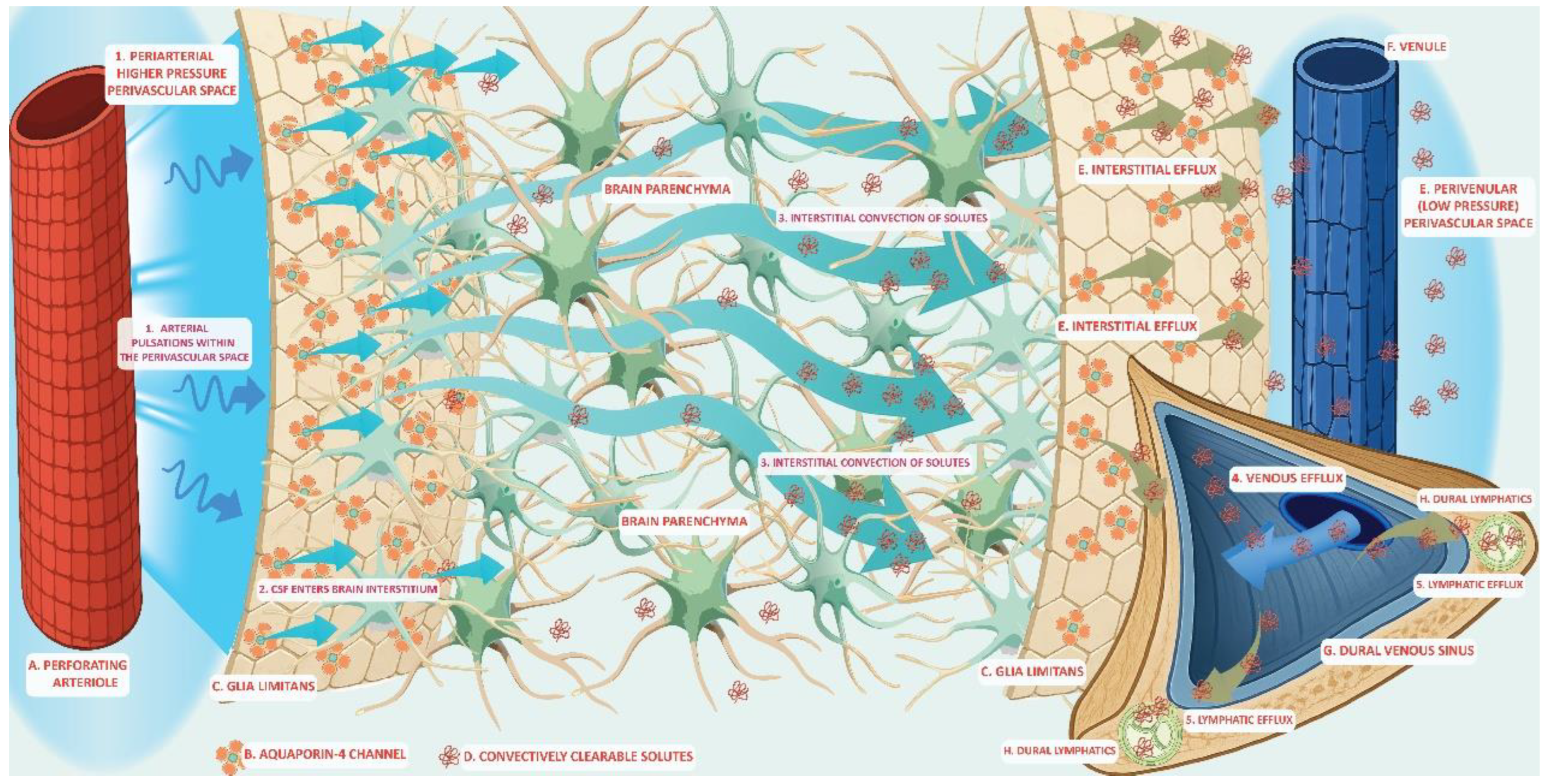 Preprints 190555 g001