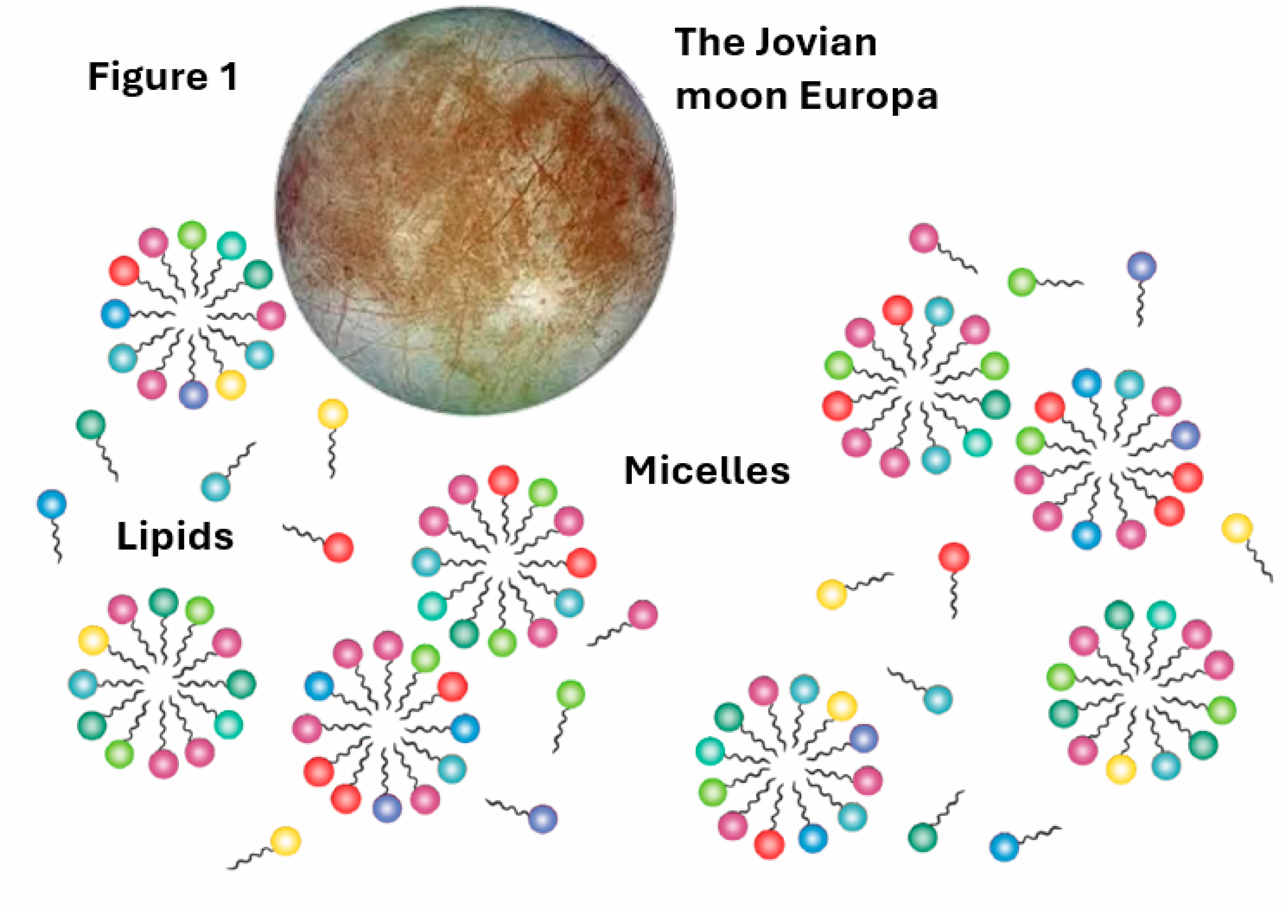Preprints 197380 g001