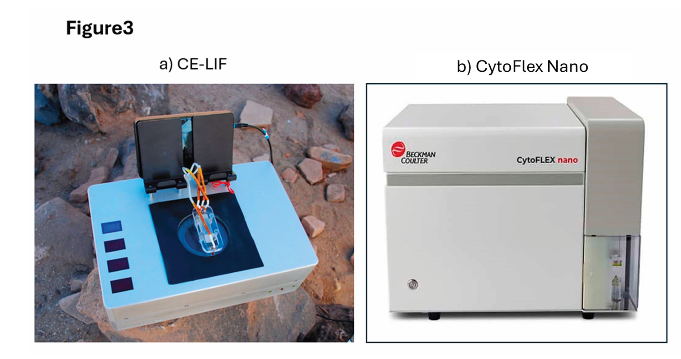 Preprints 197380 g003