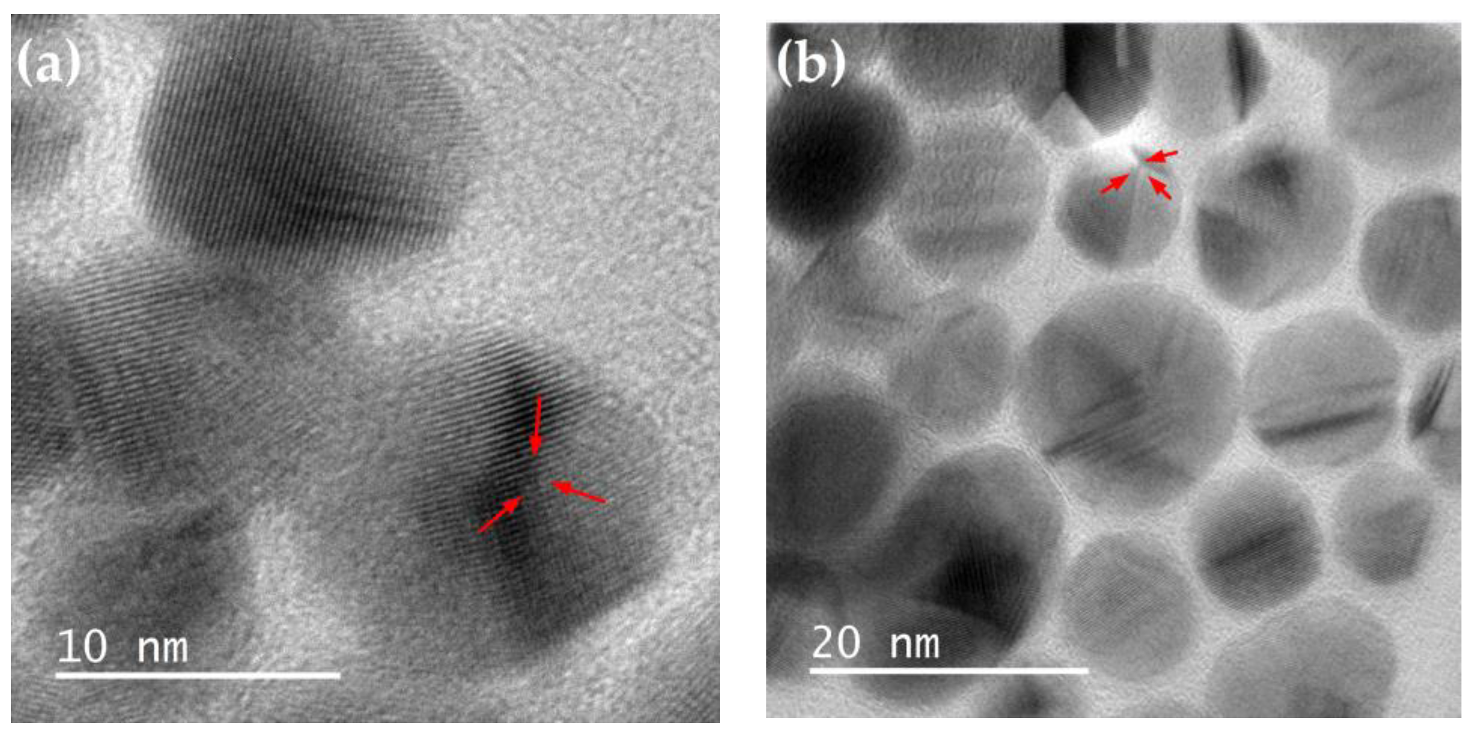 Preprints 178840 g008a