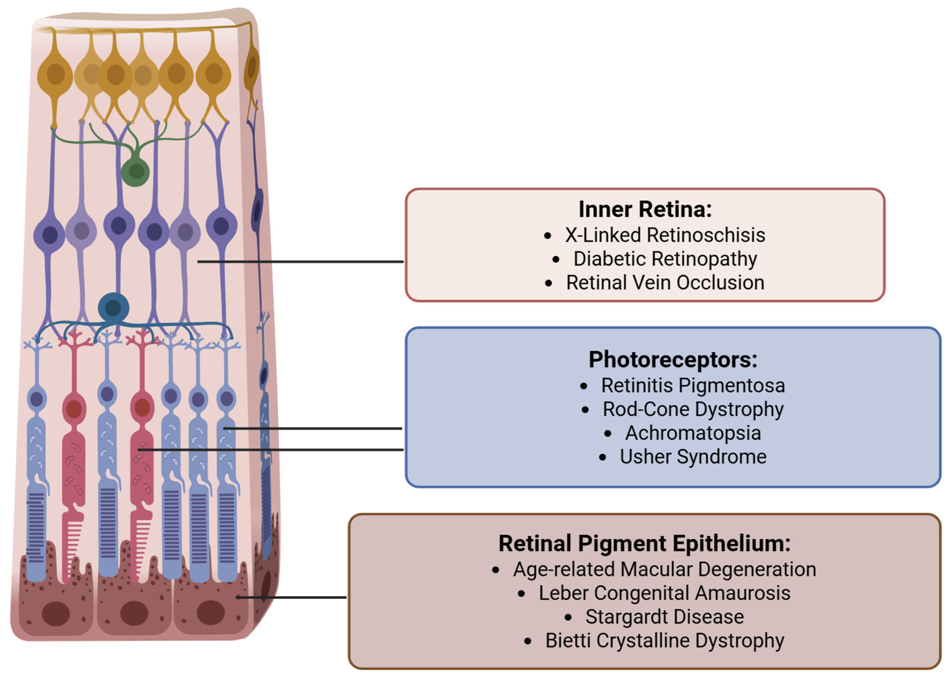 Preprints 172735 g002