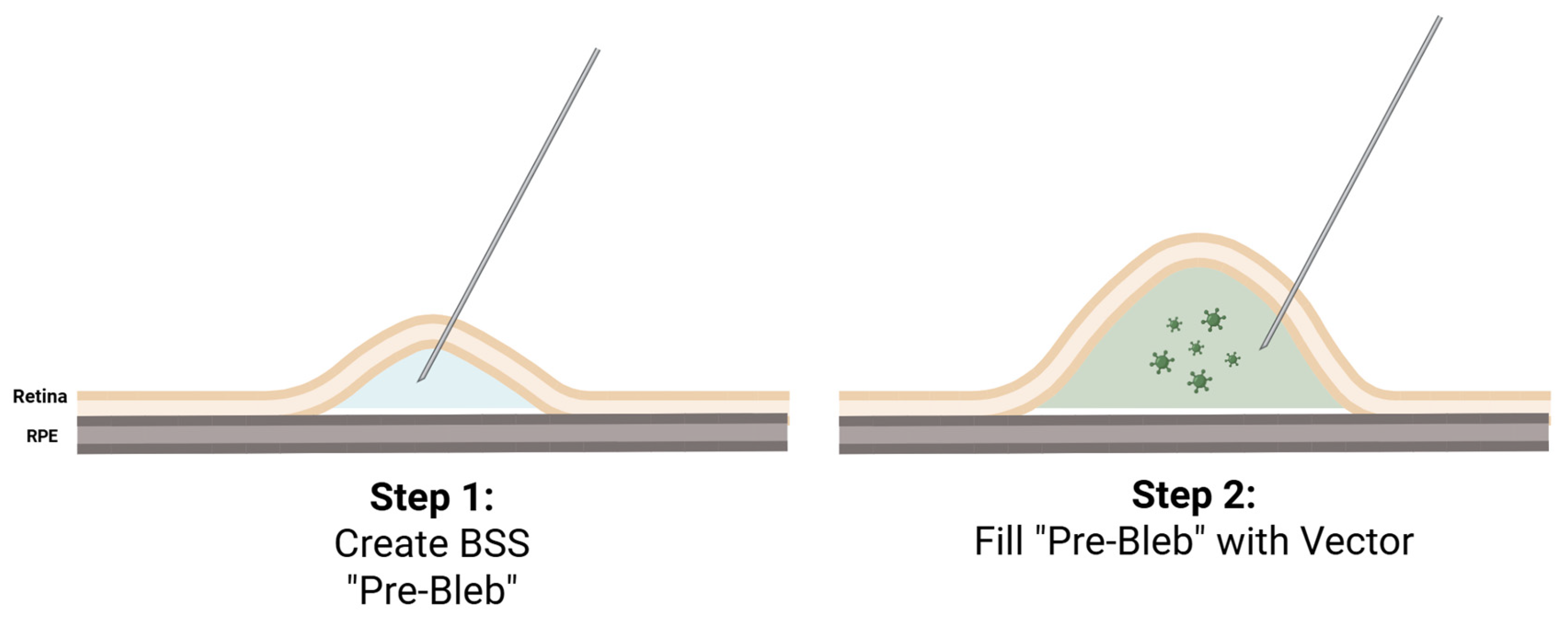 Preprints 172735 g003