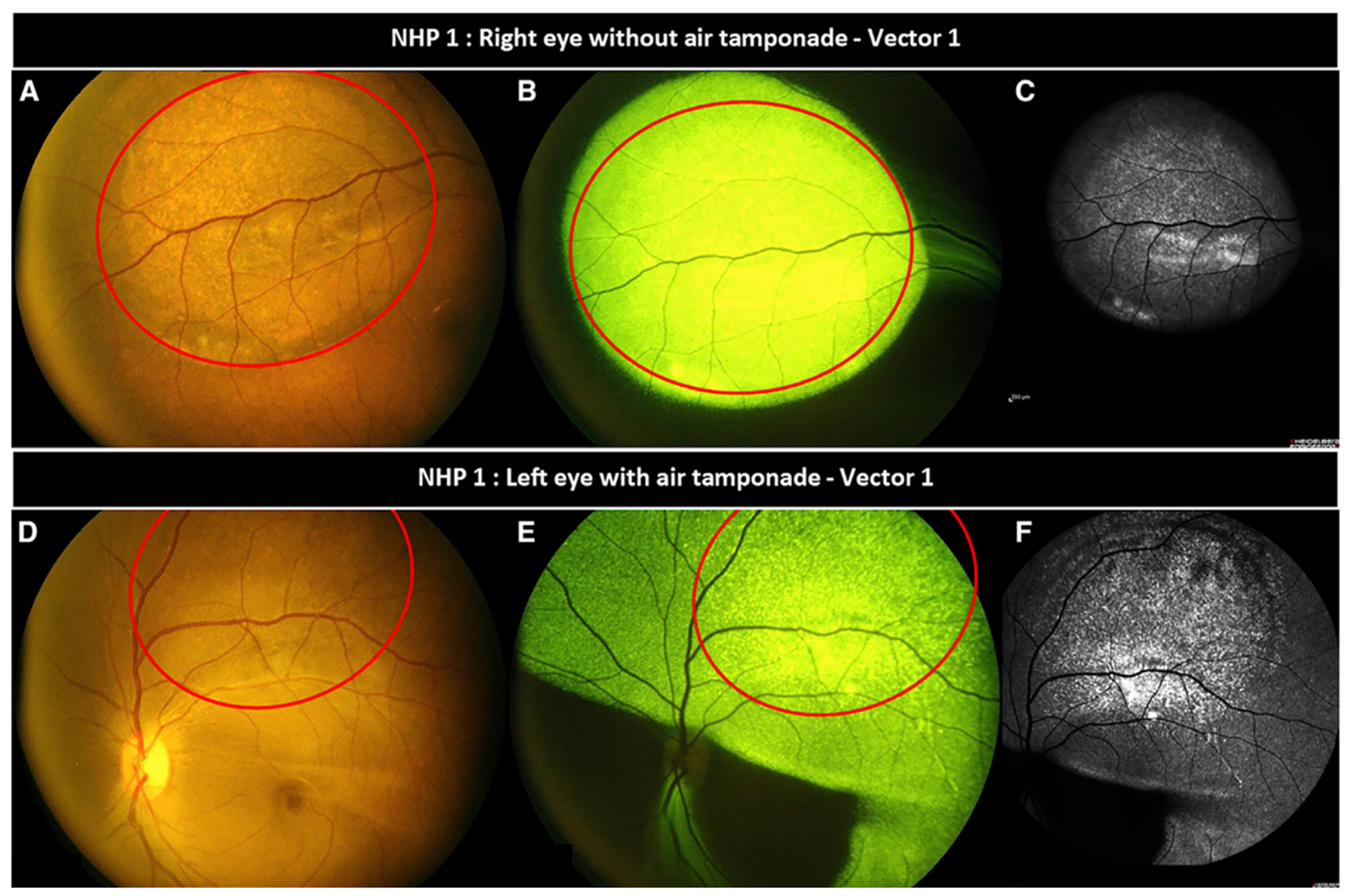 Preprints 172735 g005